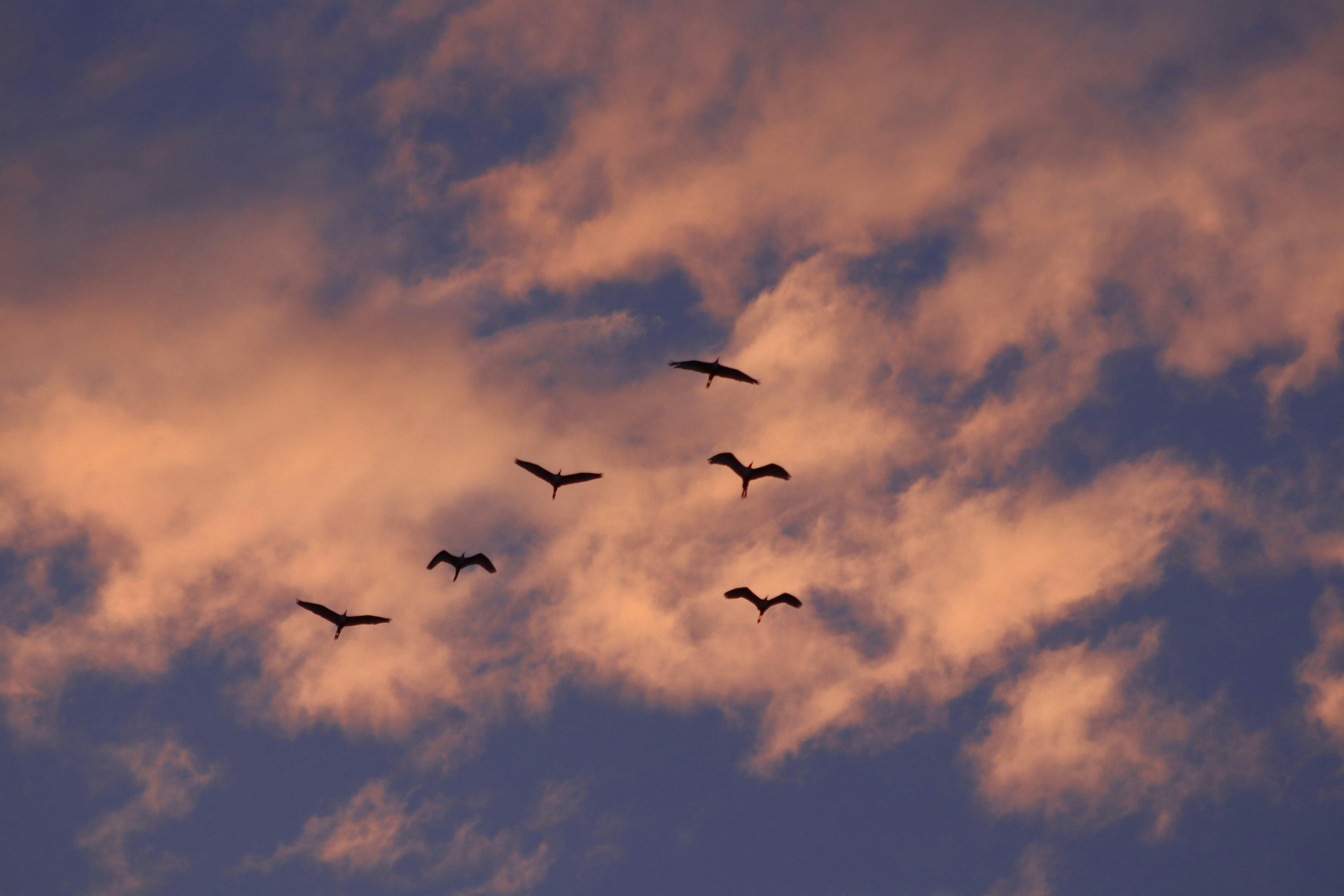 Photo by jorgeel_vm09