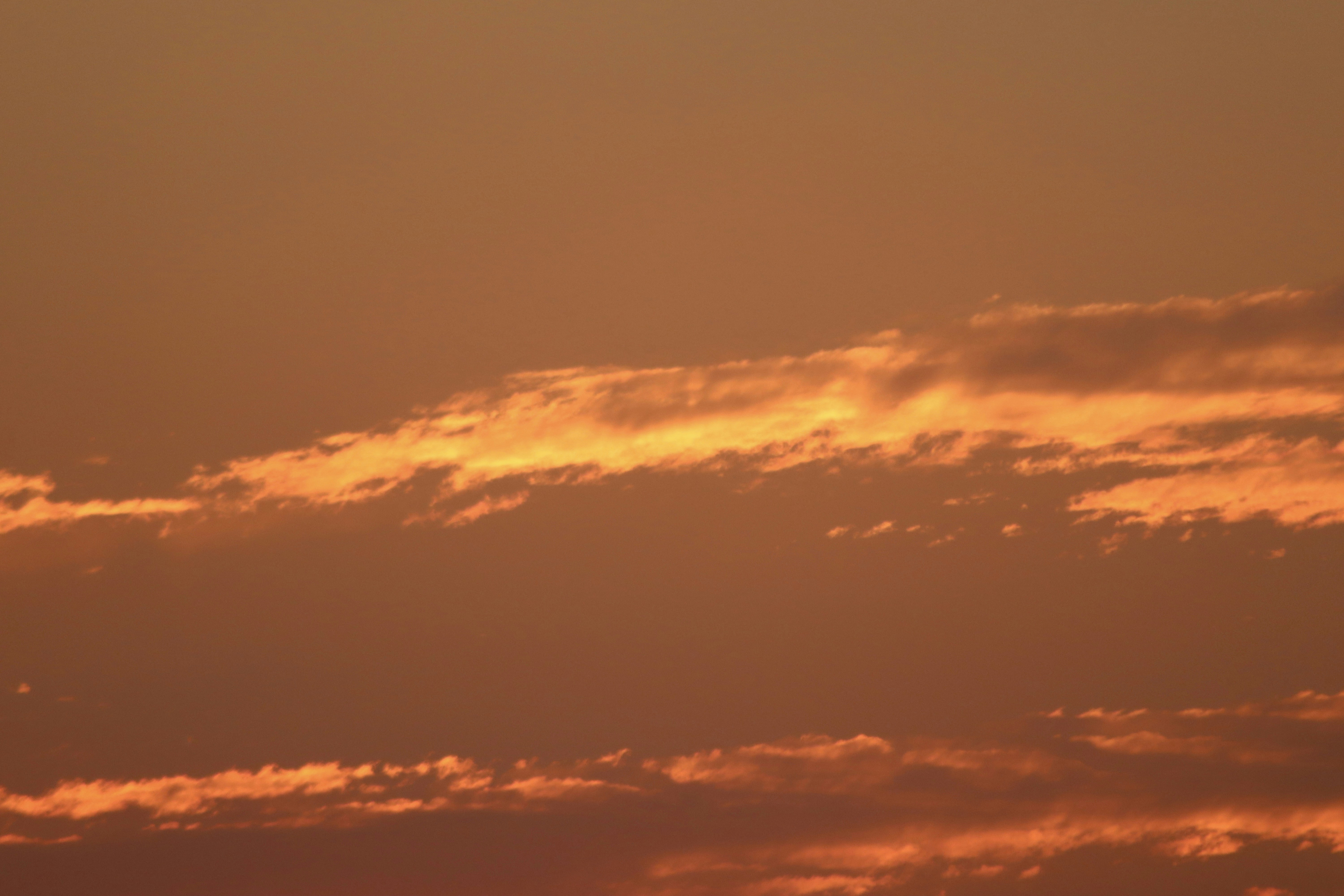 Photo by jorgeel_vm09