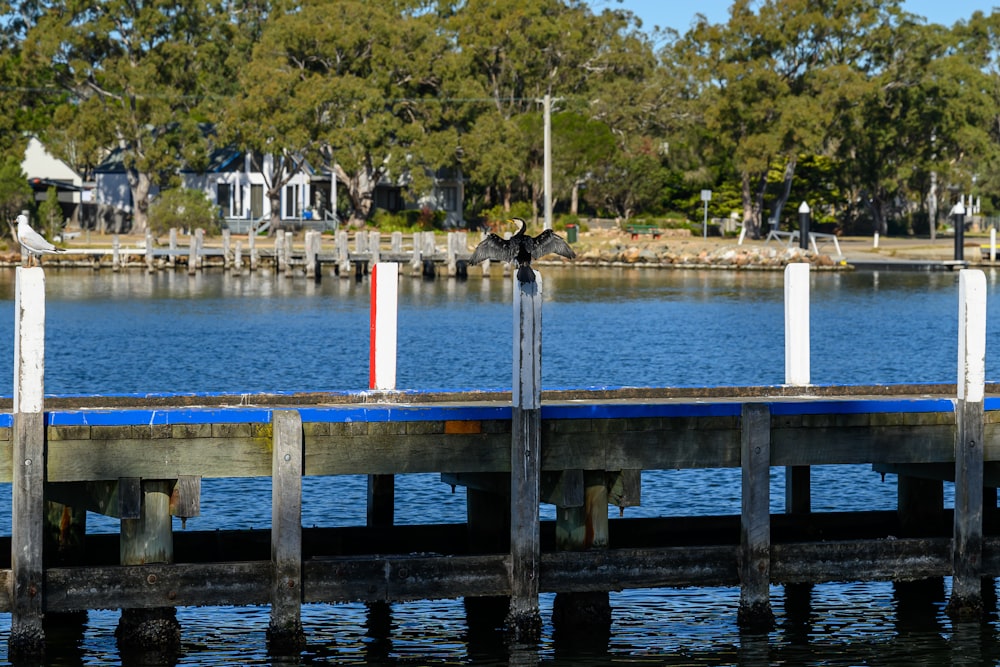 a wooden dock with a red and blue flag on it