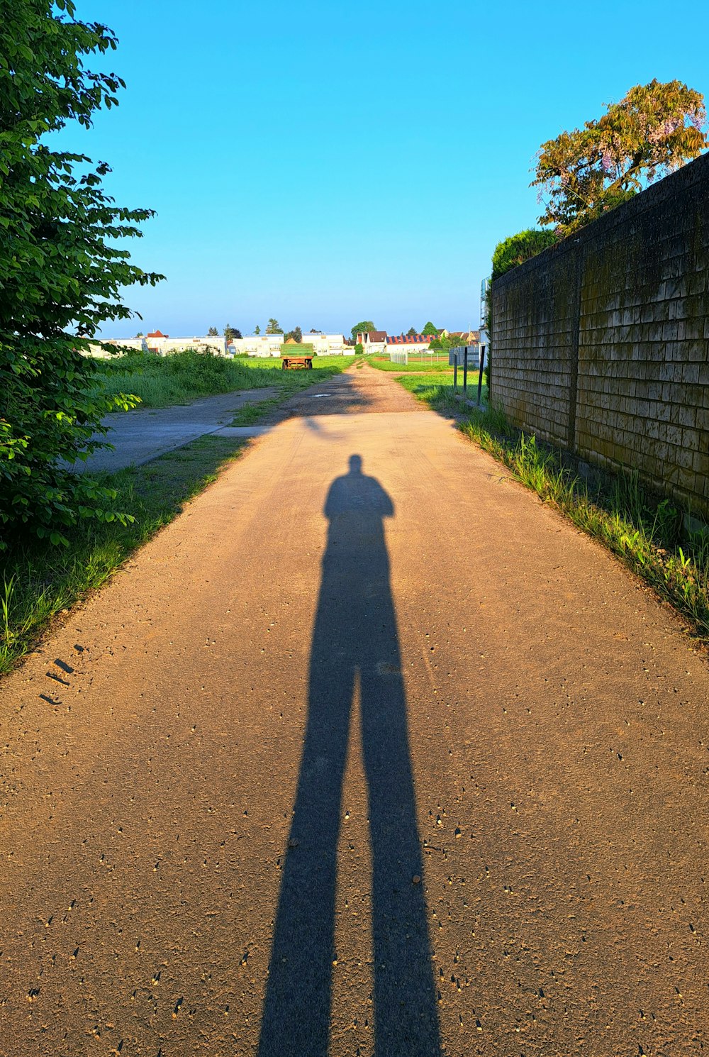 a shadow of a person standing on a dirt road