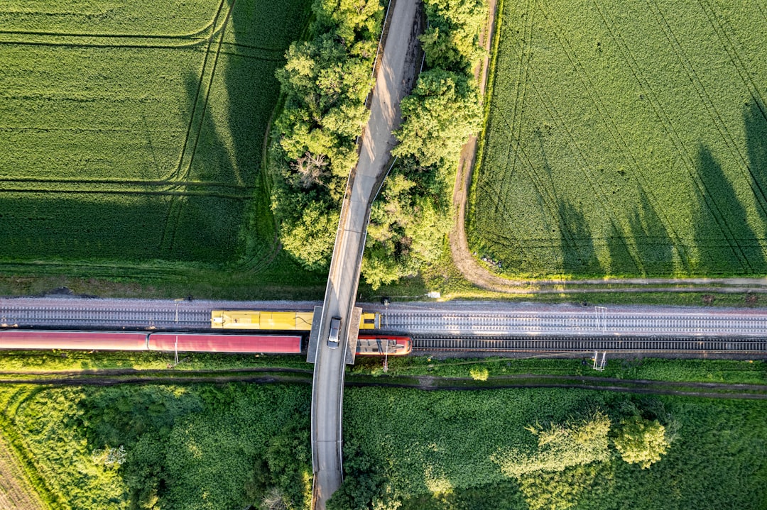 This aerial image captures a dynamic scene where agricultural greenery intersects with human infrastructure. It shows a train crossing a bridge over railway tracks that cut through vibrant green fields. The neat crop rows are contrasted by the curving road and linear railway, illustrating the coexistence of nature and engineered environments. This perspective emphasizes the integration of rural and industrial elements.