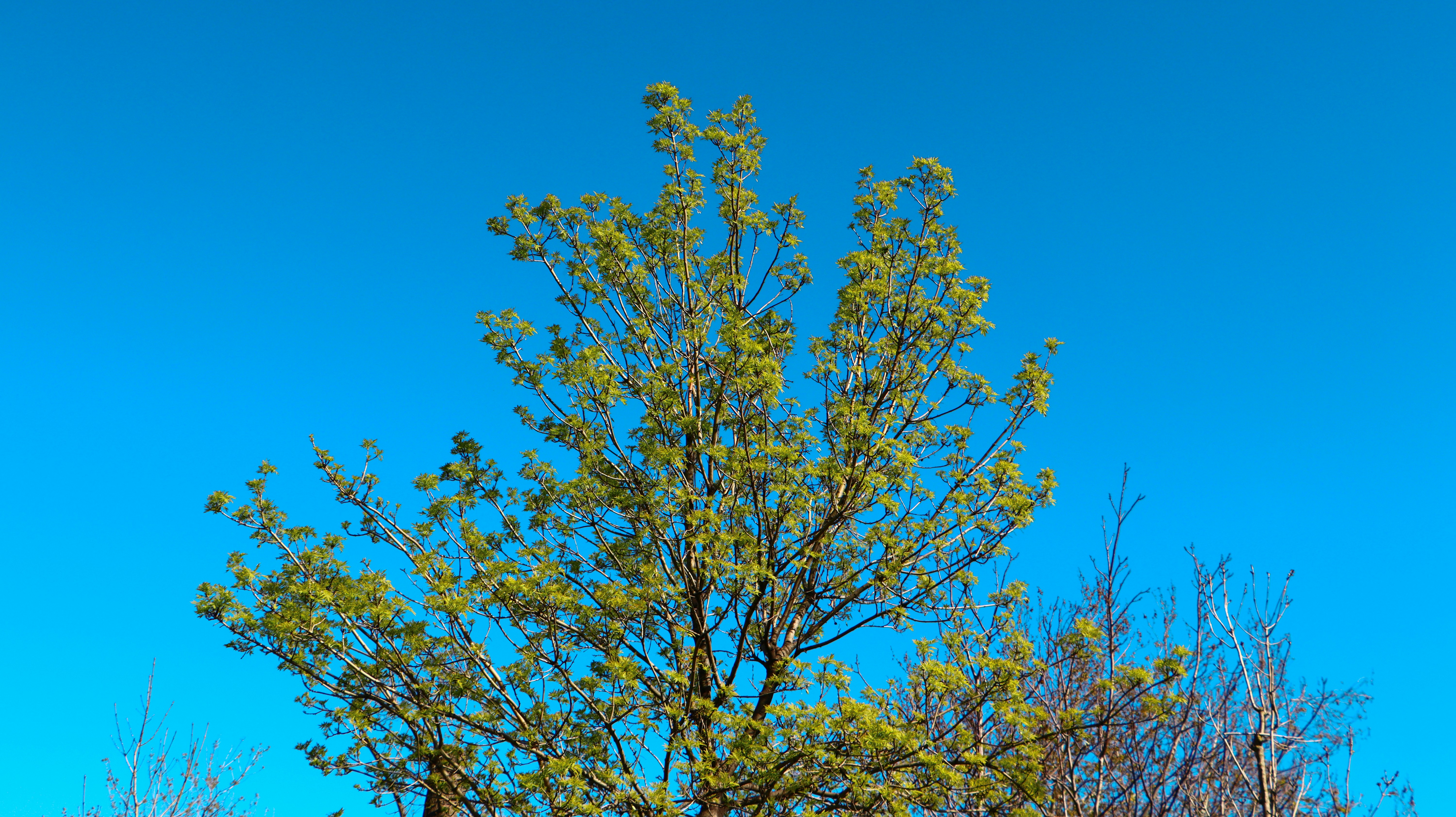 다이어트 중 식욕 억제제 먹으면 요요 현상이 심해질까?