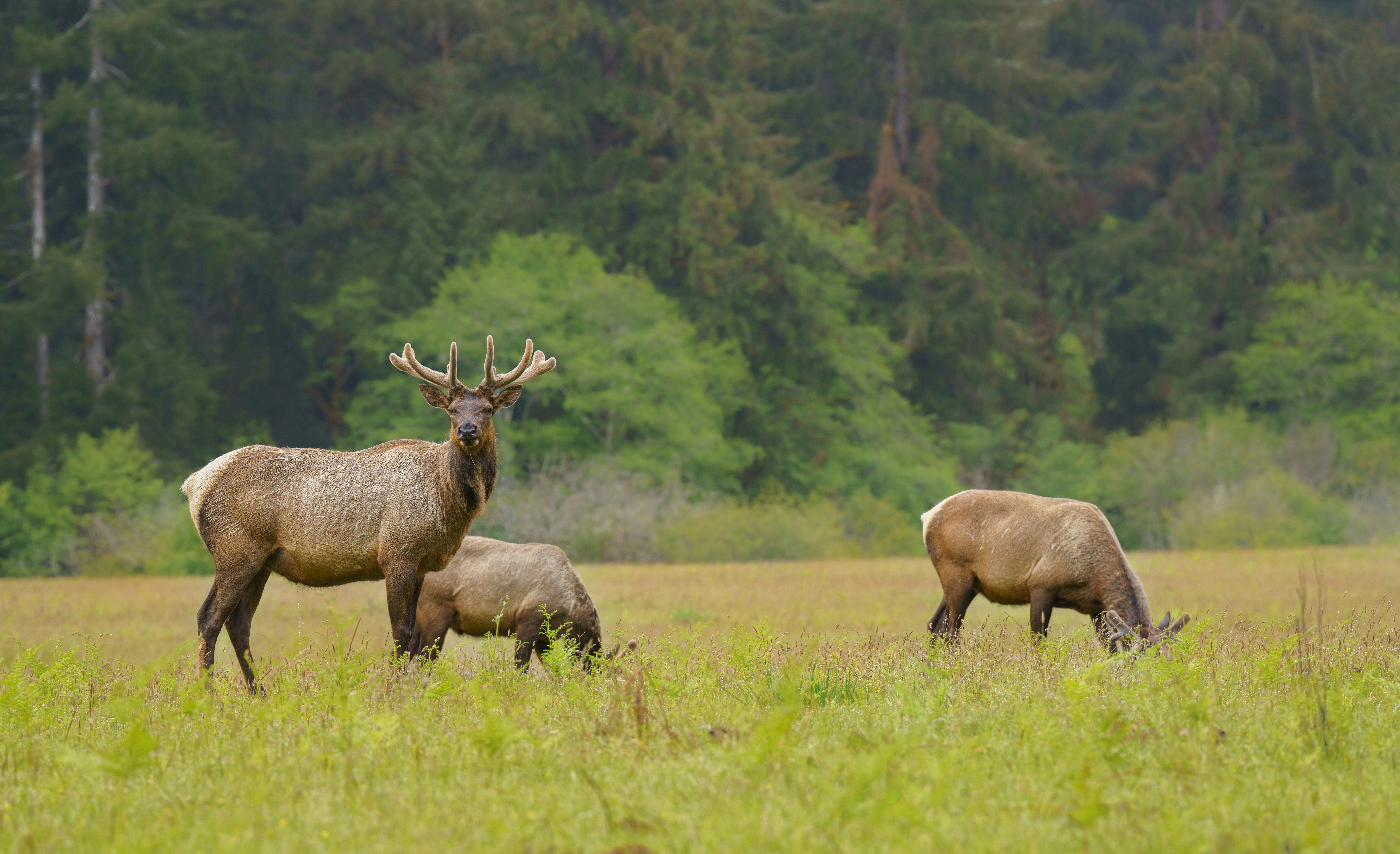 Photo by happy_pixel