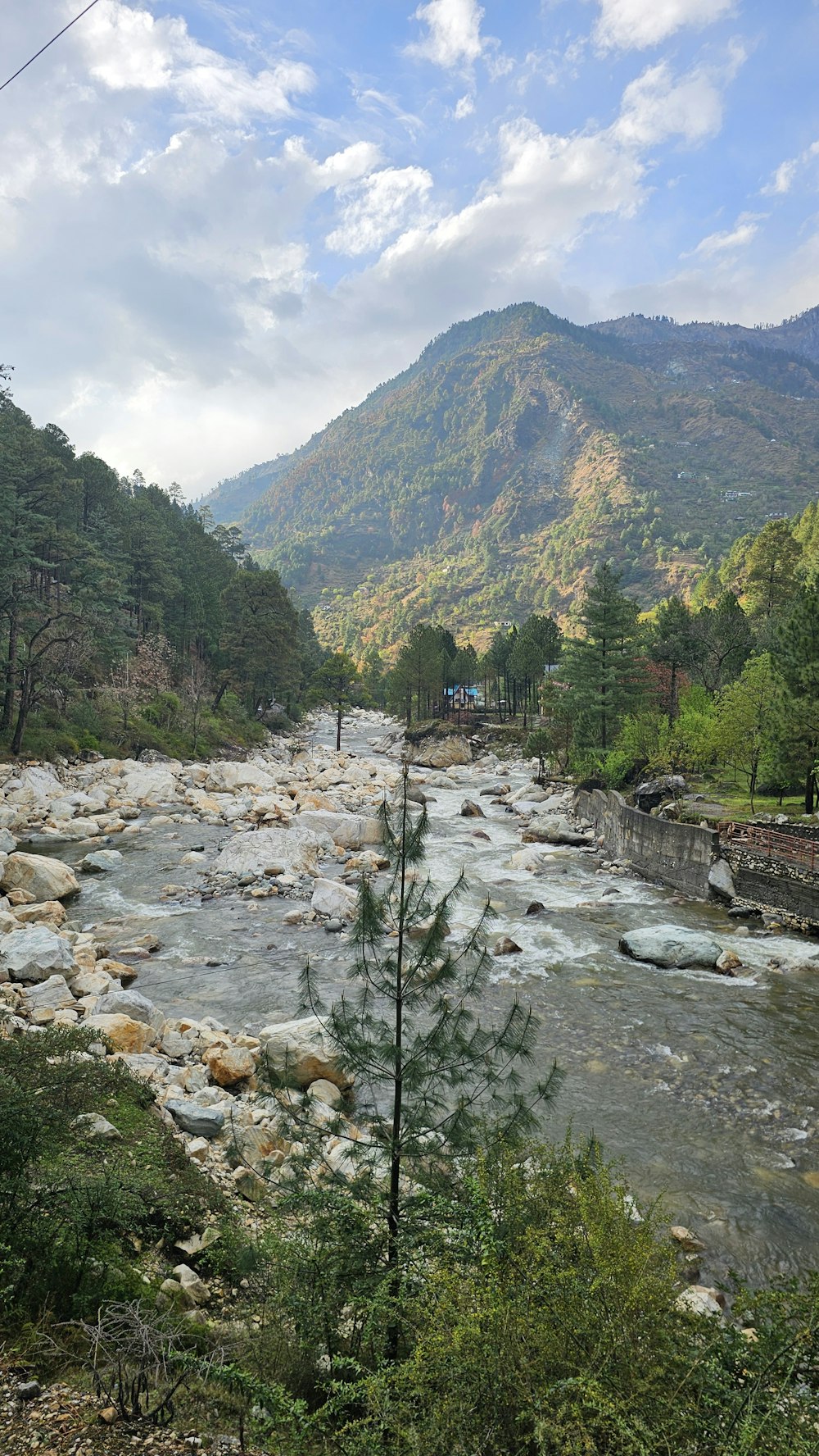 a river running through a lush green forest