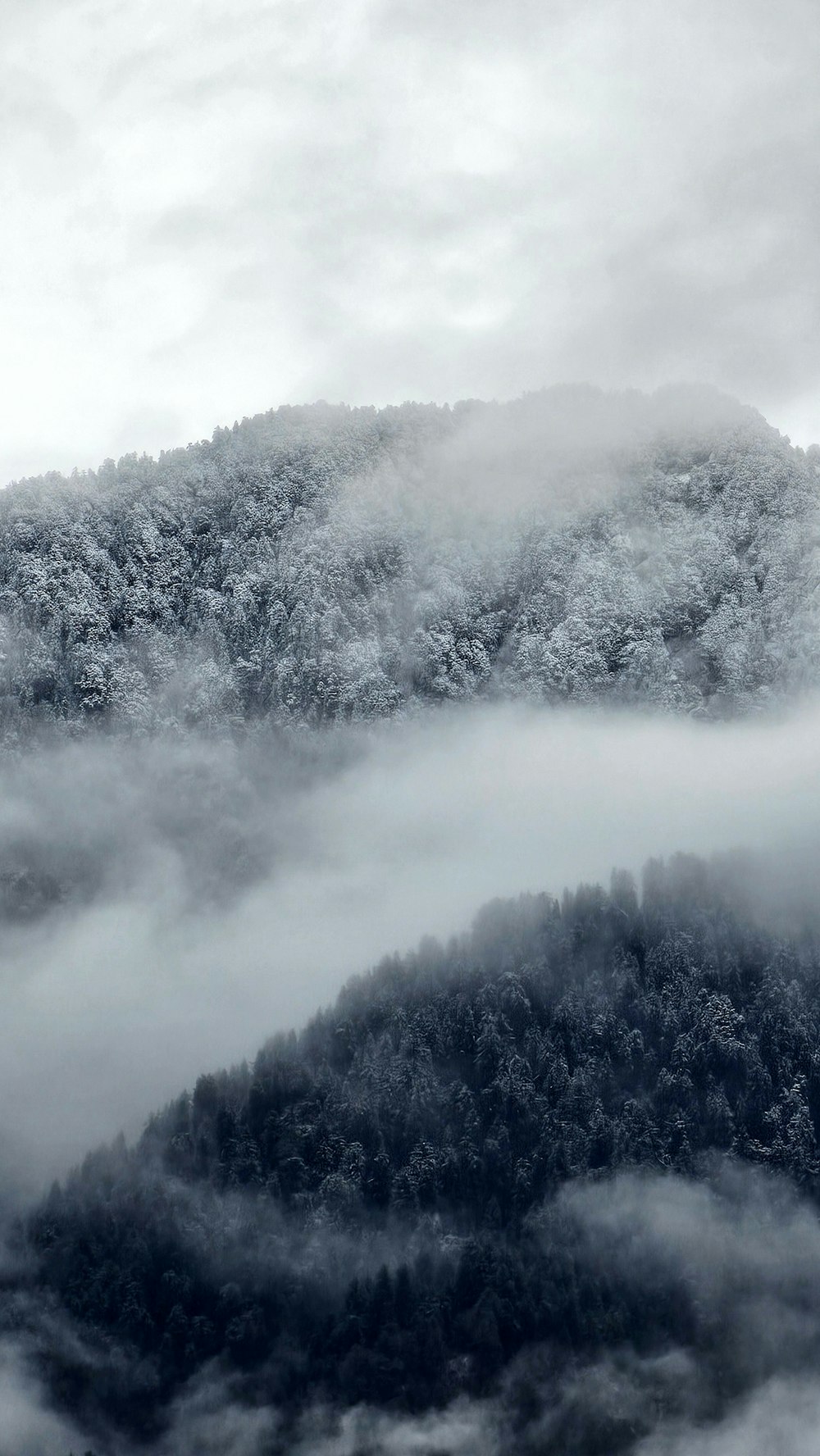 a black and white photo of a mountain covered in fog