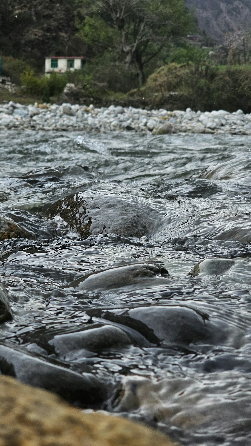 a stream of water with rocks and trees in the background