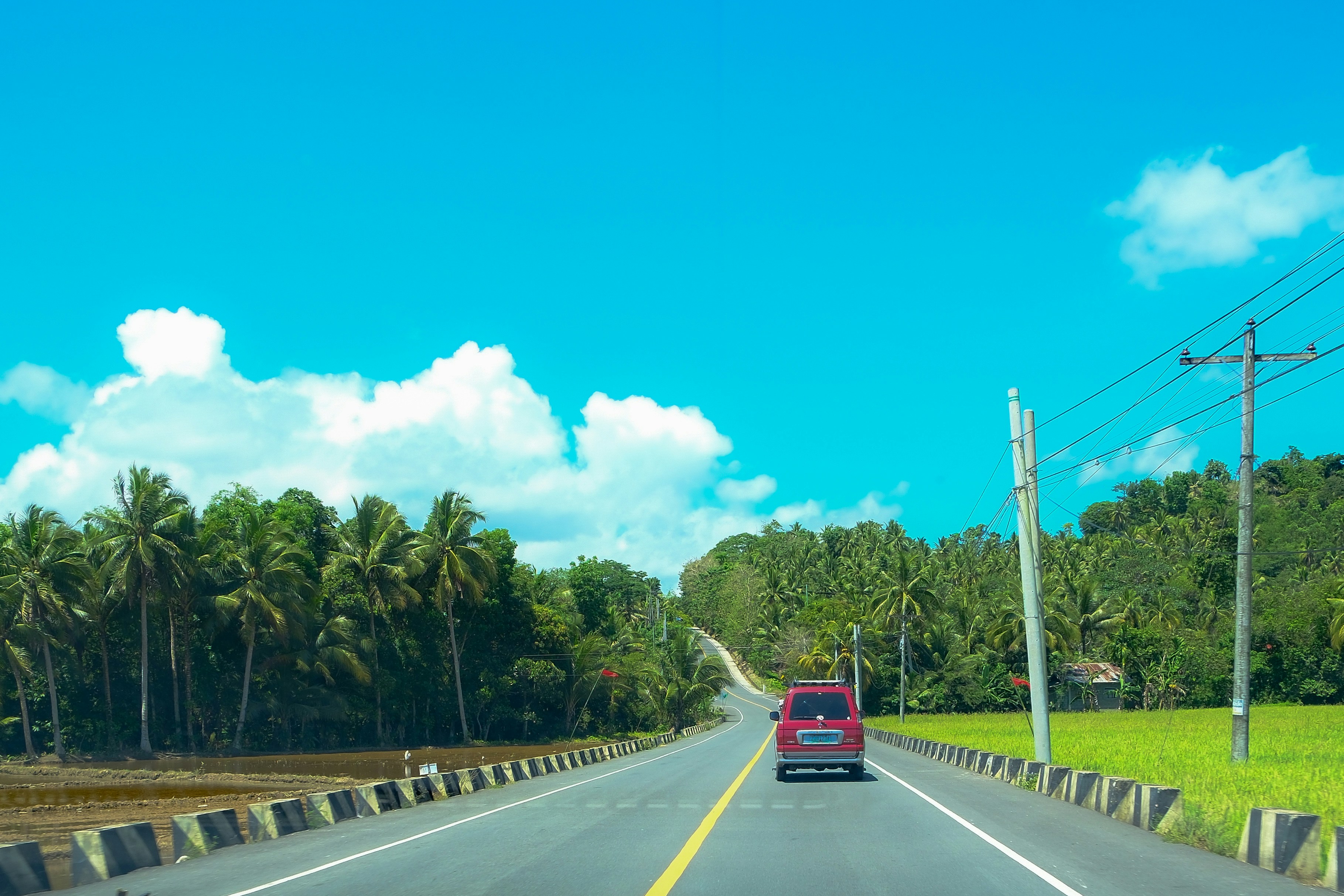 a red truck driving down a road next to palm trees
