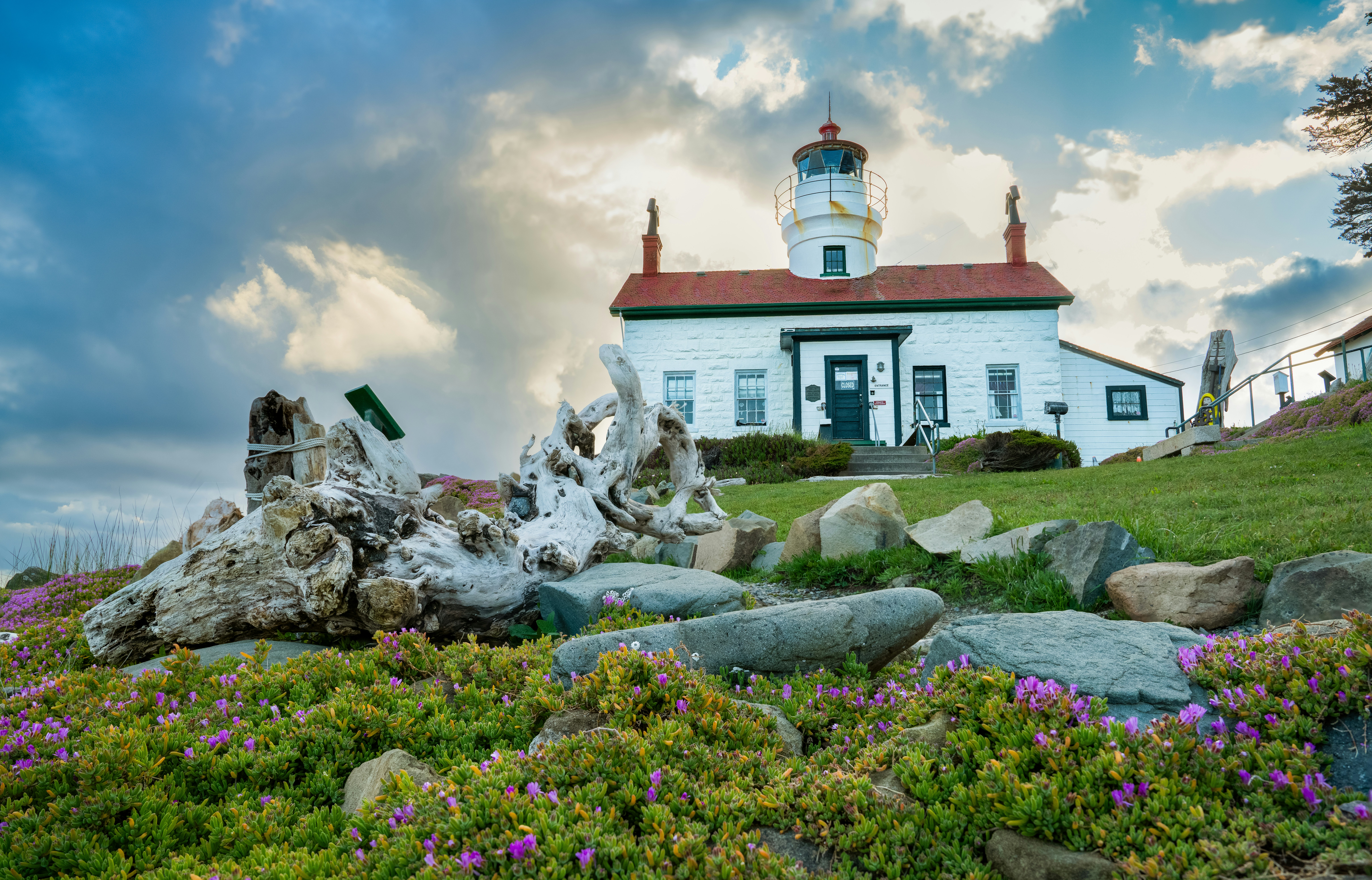 Photo by happy_pixel