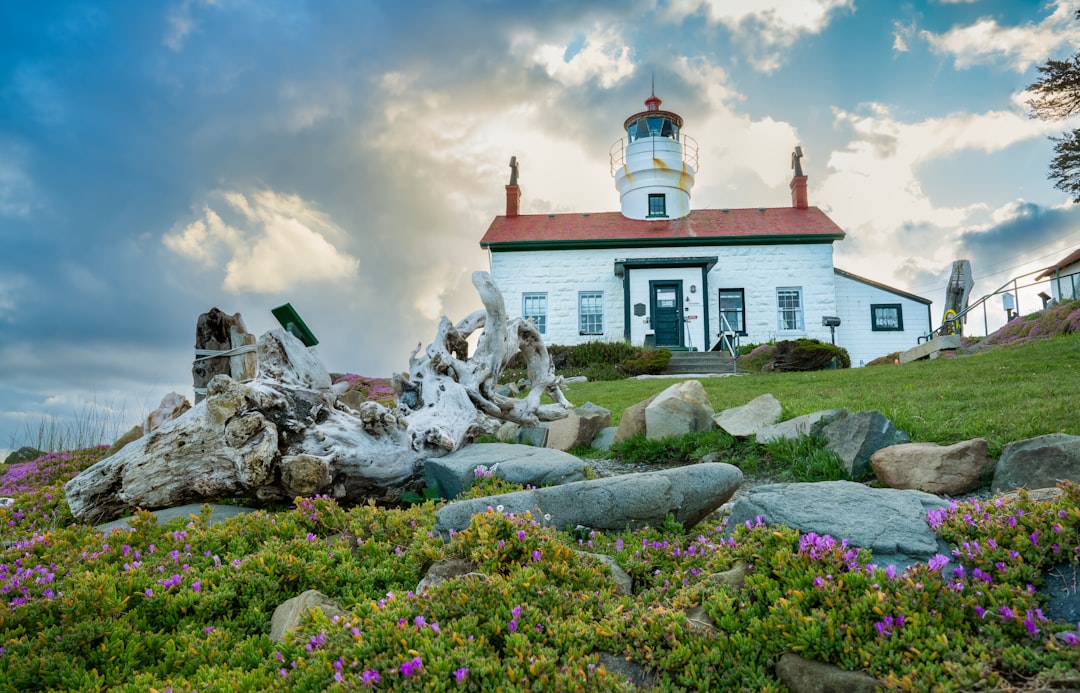 The lighthouse lantern had been burning a lifetime, a beacon for love’s safe return