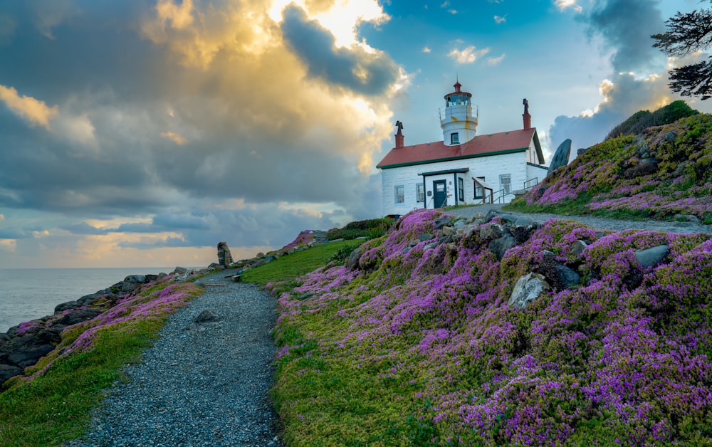 a lighthouse on top of a hill with purple flowers