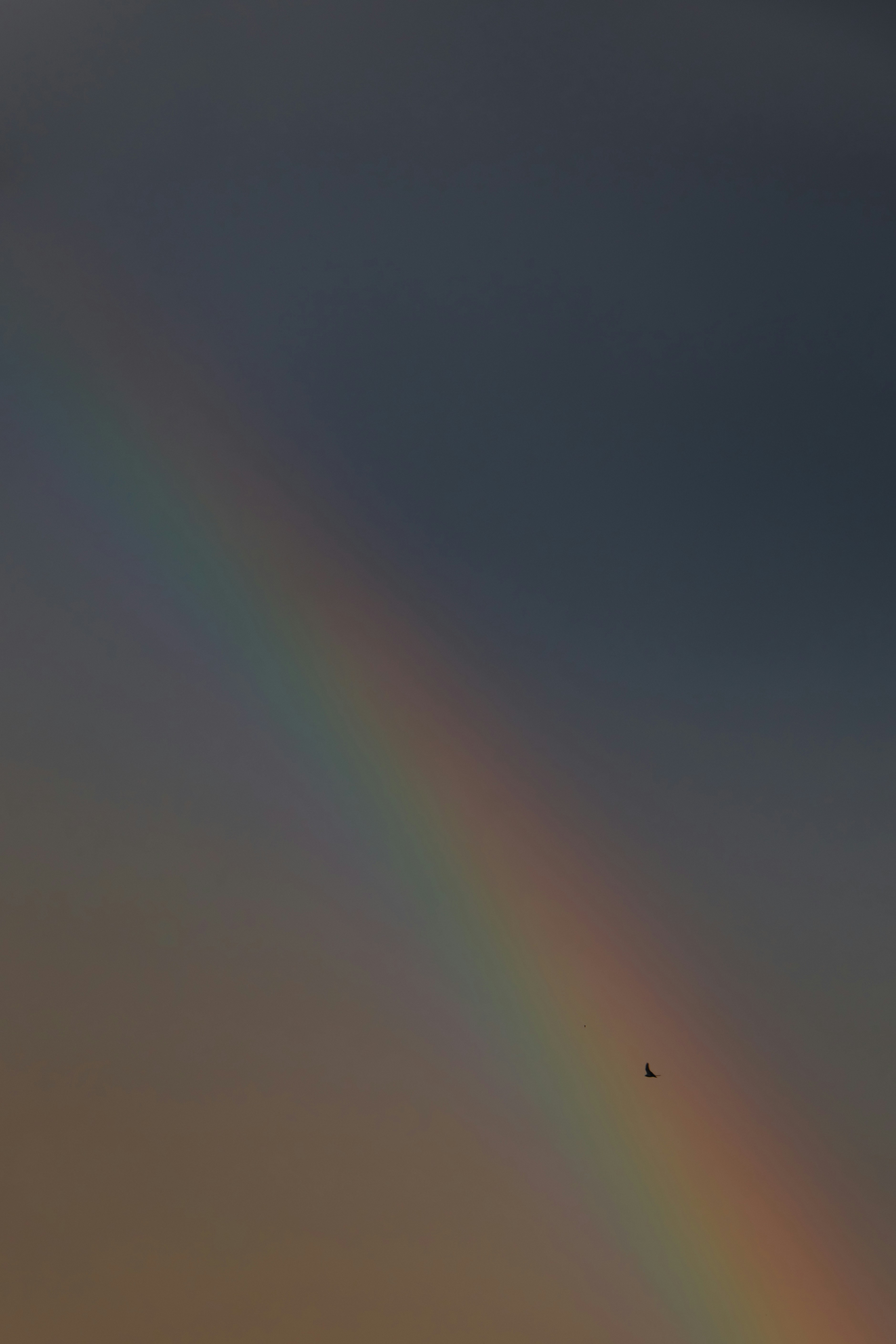 Friends-Supporting-Each-Other