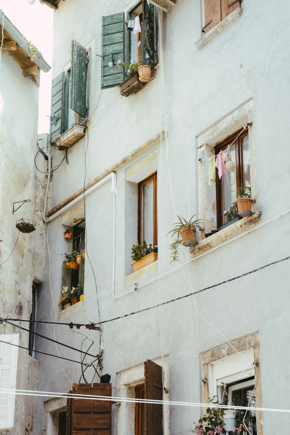 a building with a bunch of windows and plants