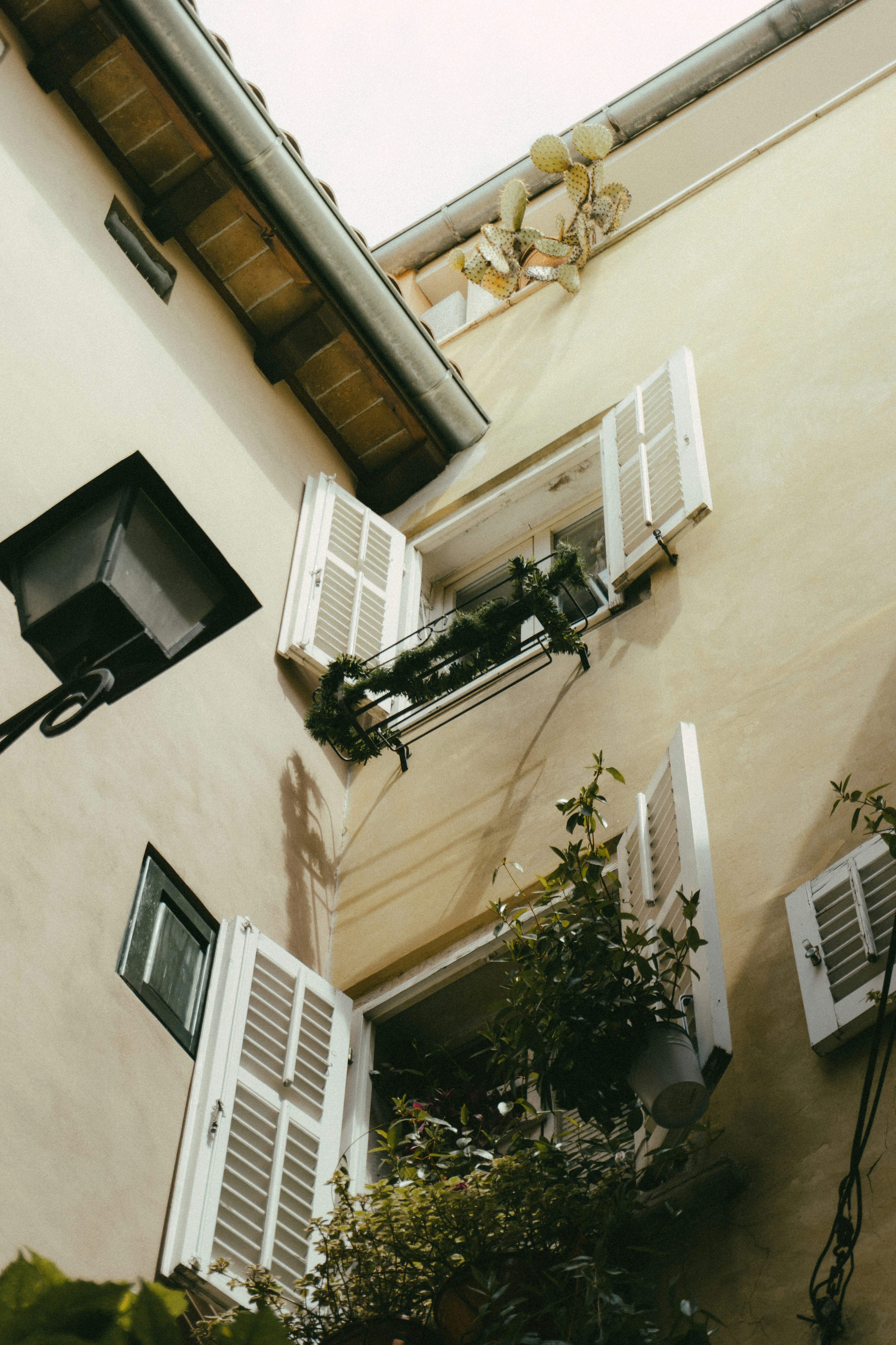 Photo by puskas_dominik