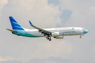 a large passenger jet flying through a cloudy sky