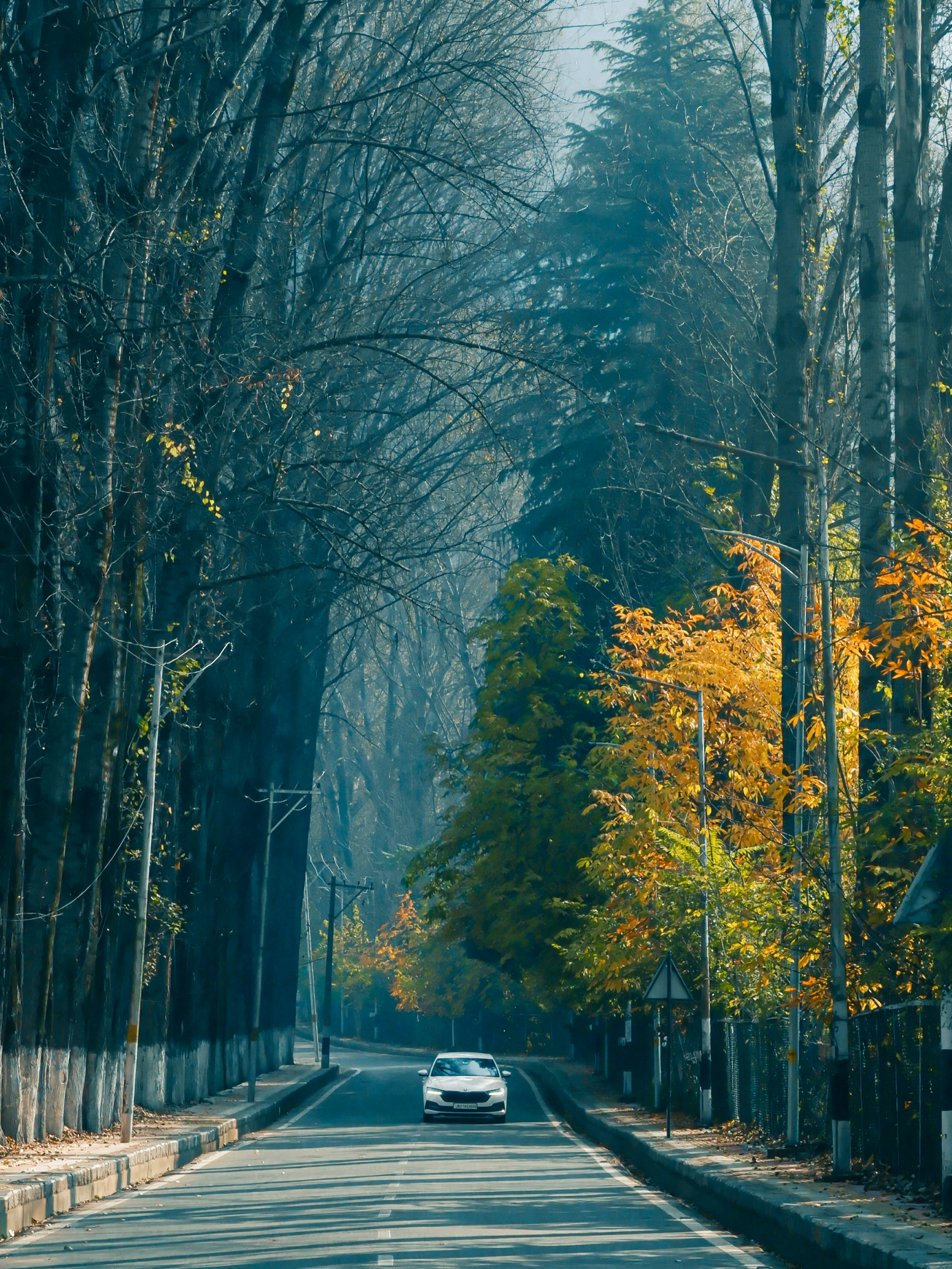 Photo by haziqfarooqi_