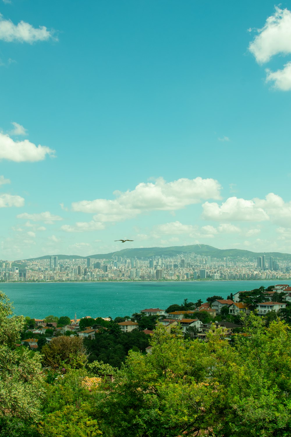 a view of a city and a body of water