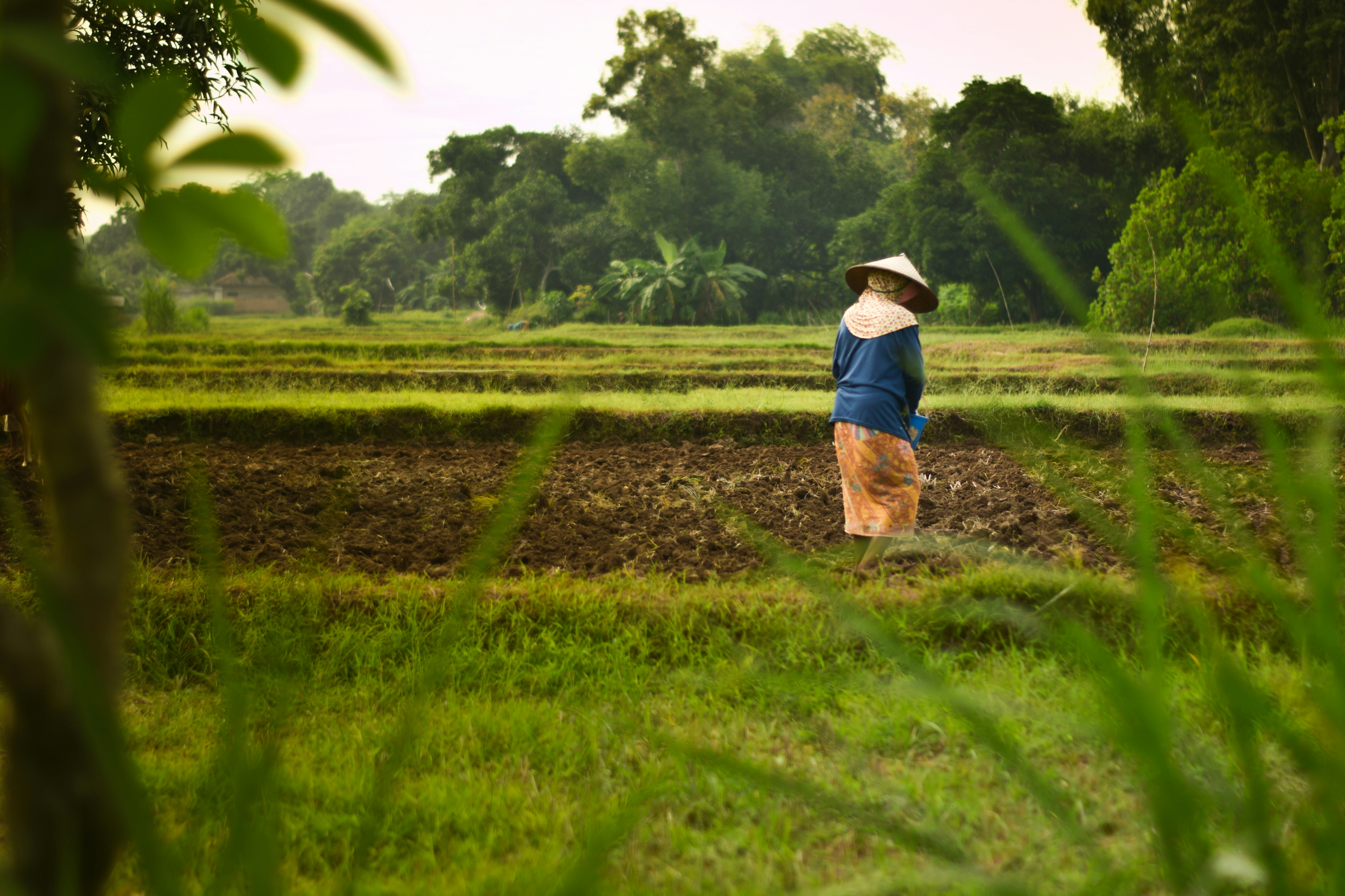 Photo by fajarmagsyar