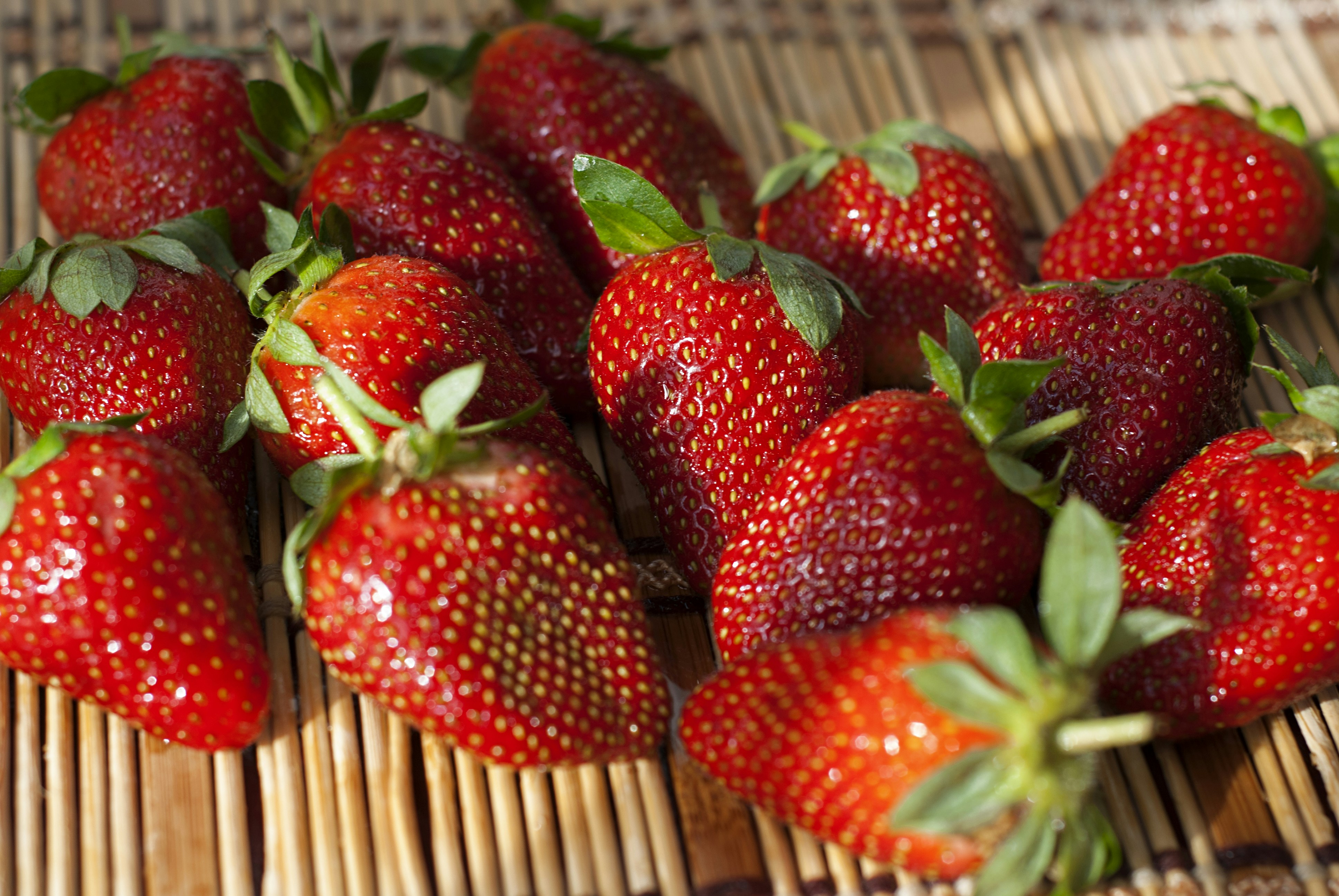 Photo by kovalskihelga