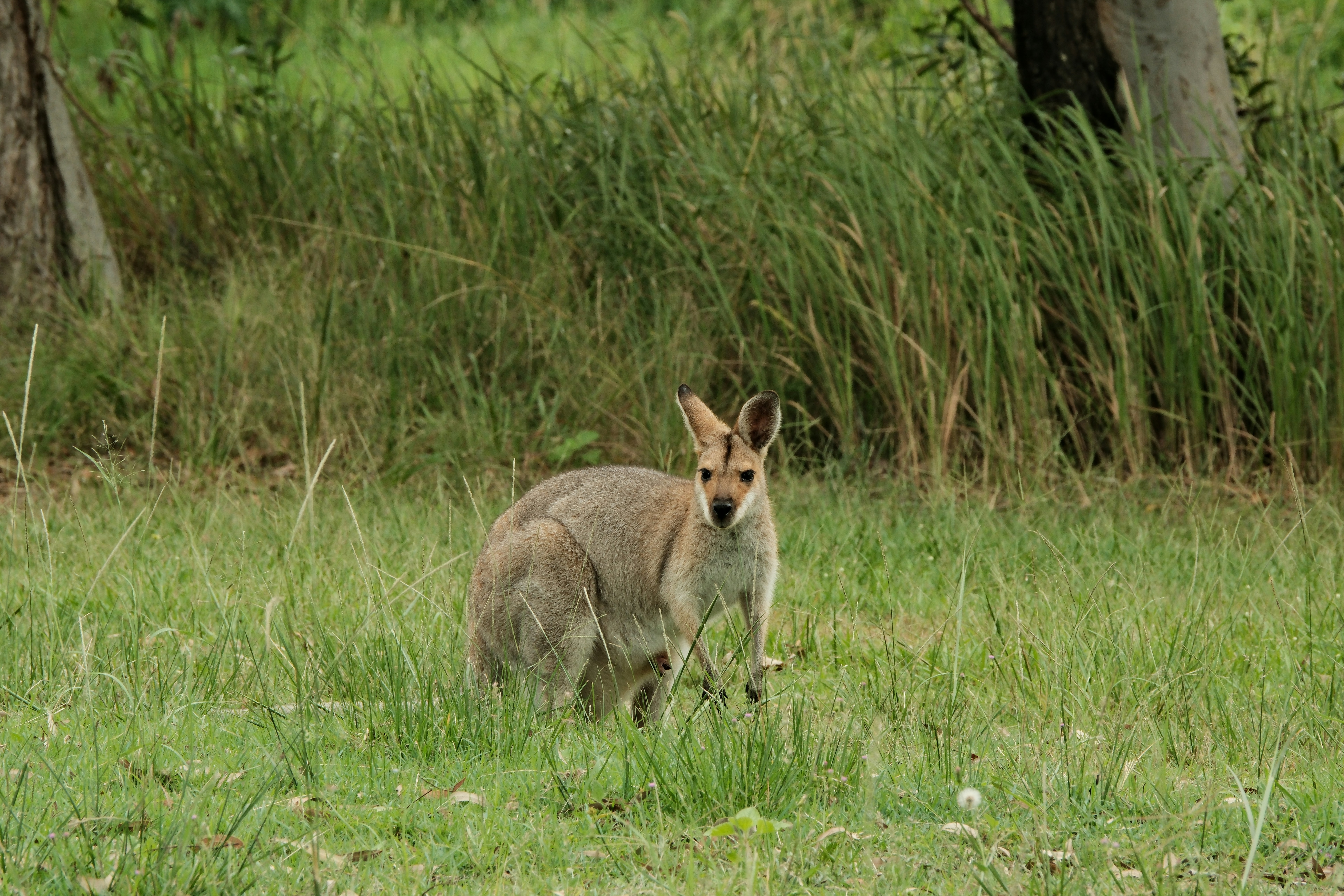 Photo by estherzphotography
