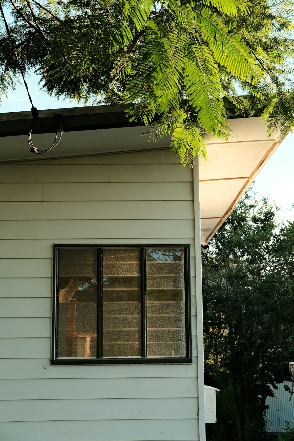 a person standing in a window of a house