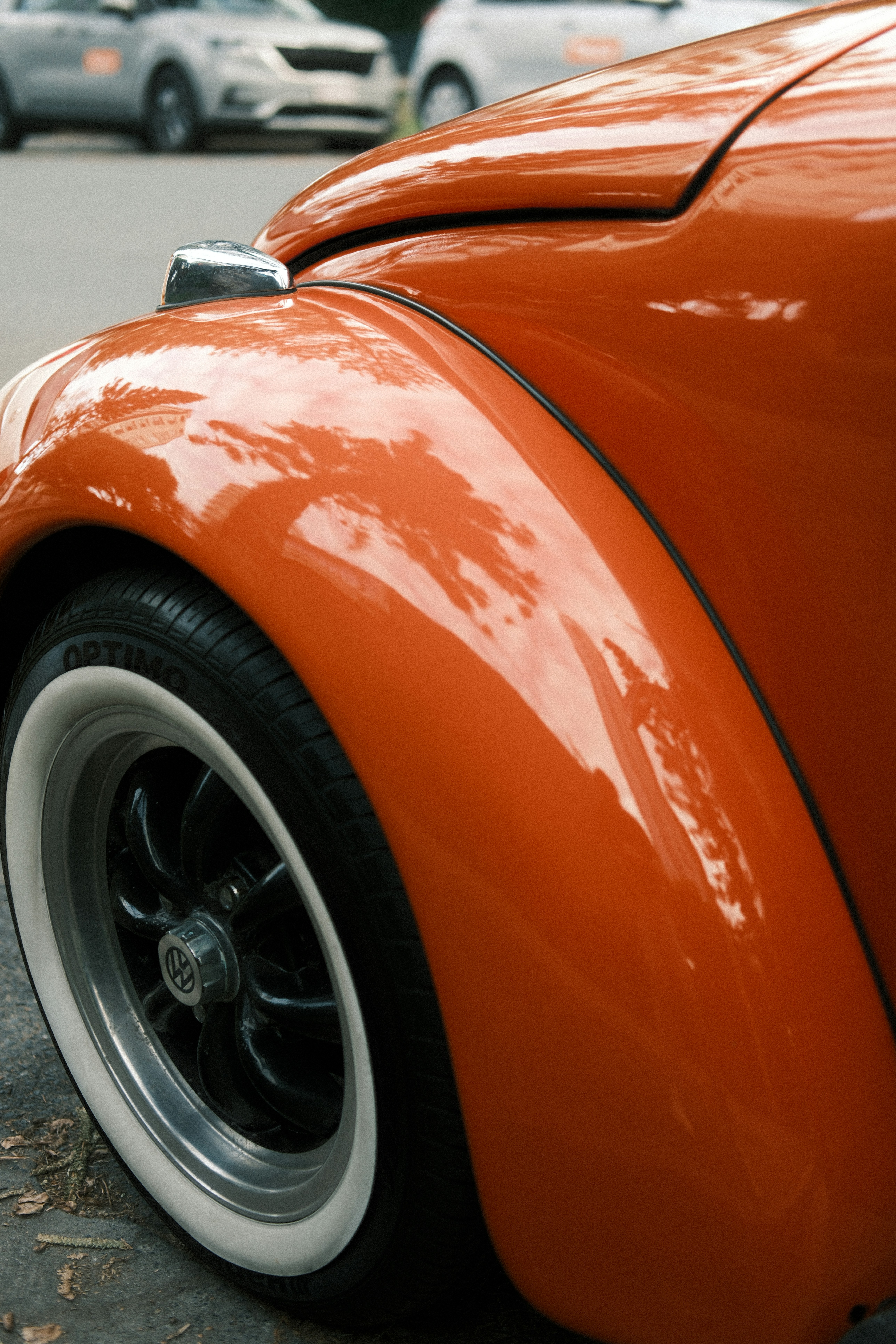 Photo by estherzphotography