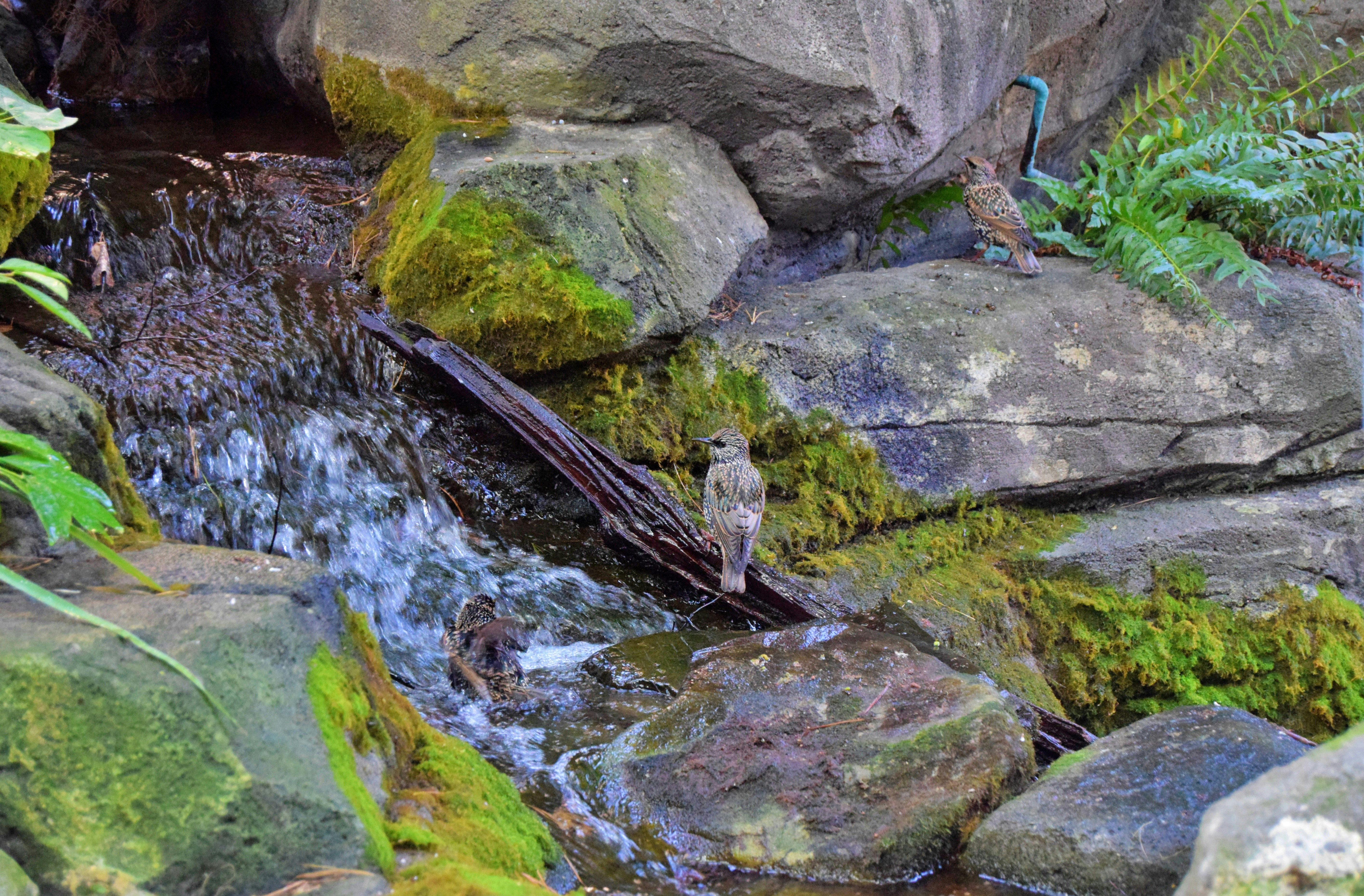 Photo by alirizwans79