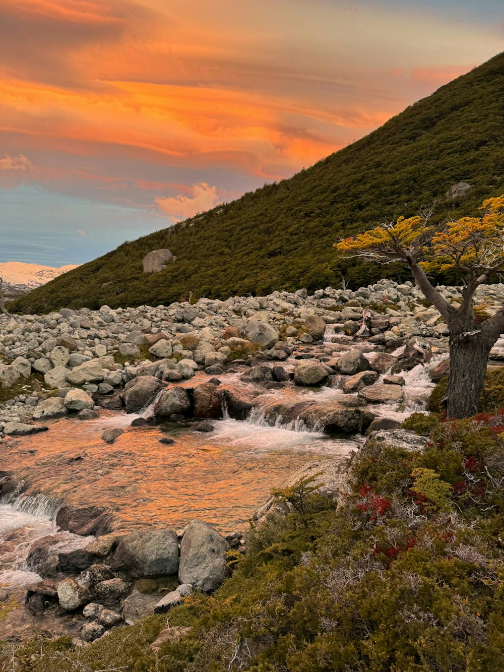 un fiume che scorre attraverso una collina verde e lussureggiante