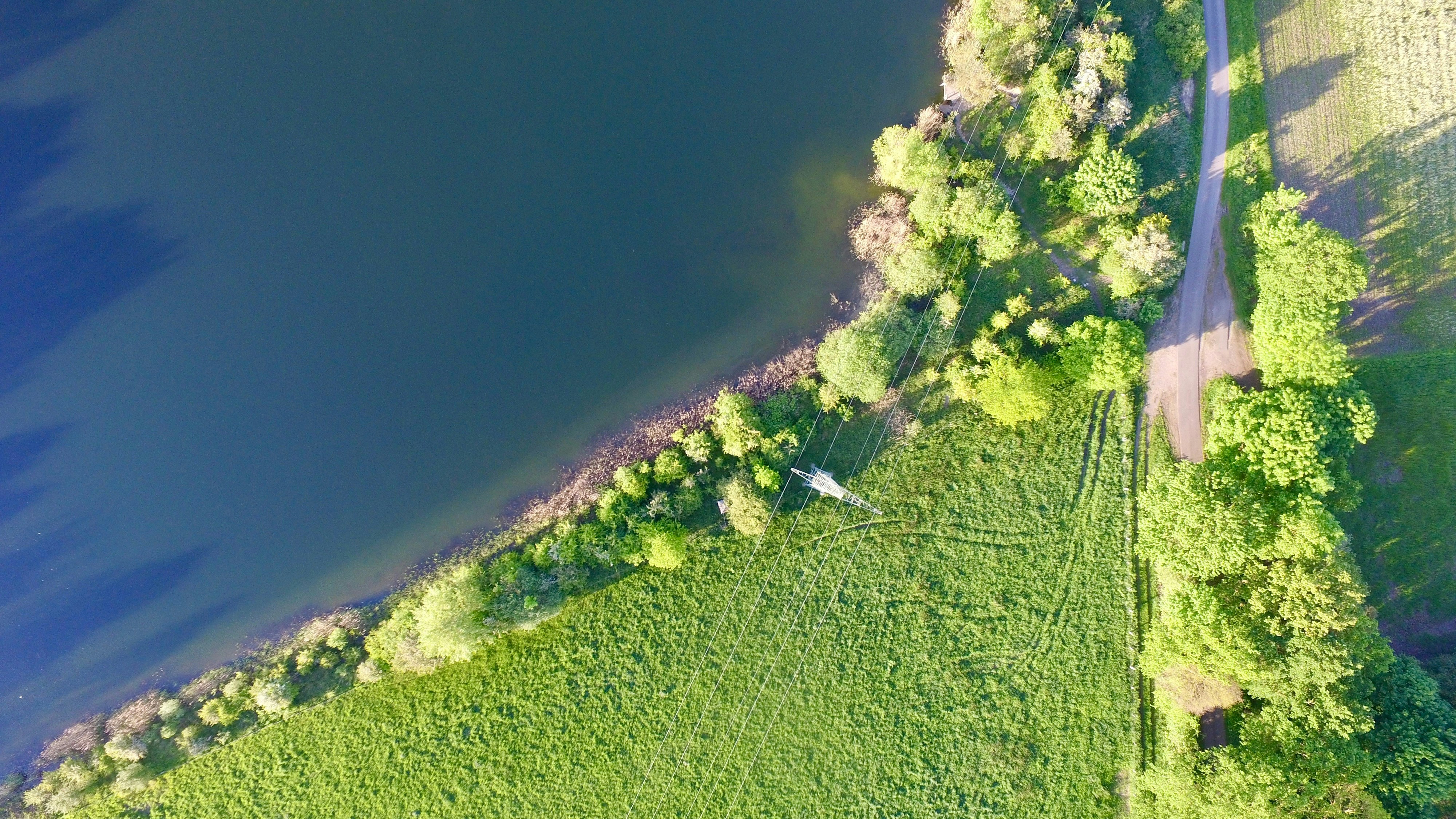 Photo by colinchadwick