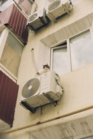 a cat that is sitting on a window sill