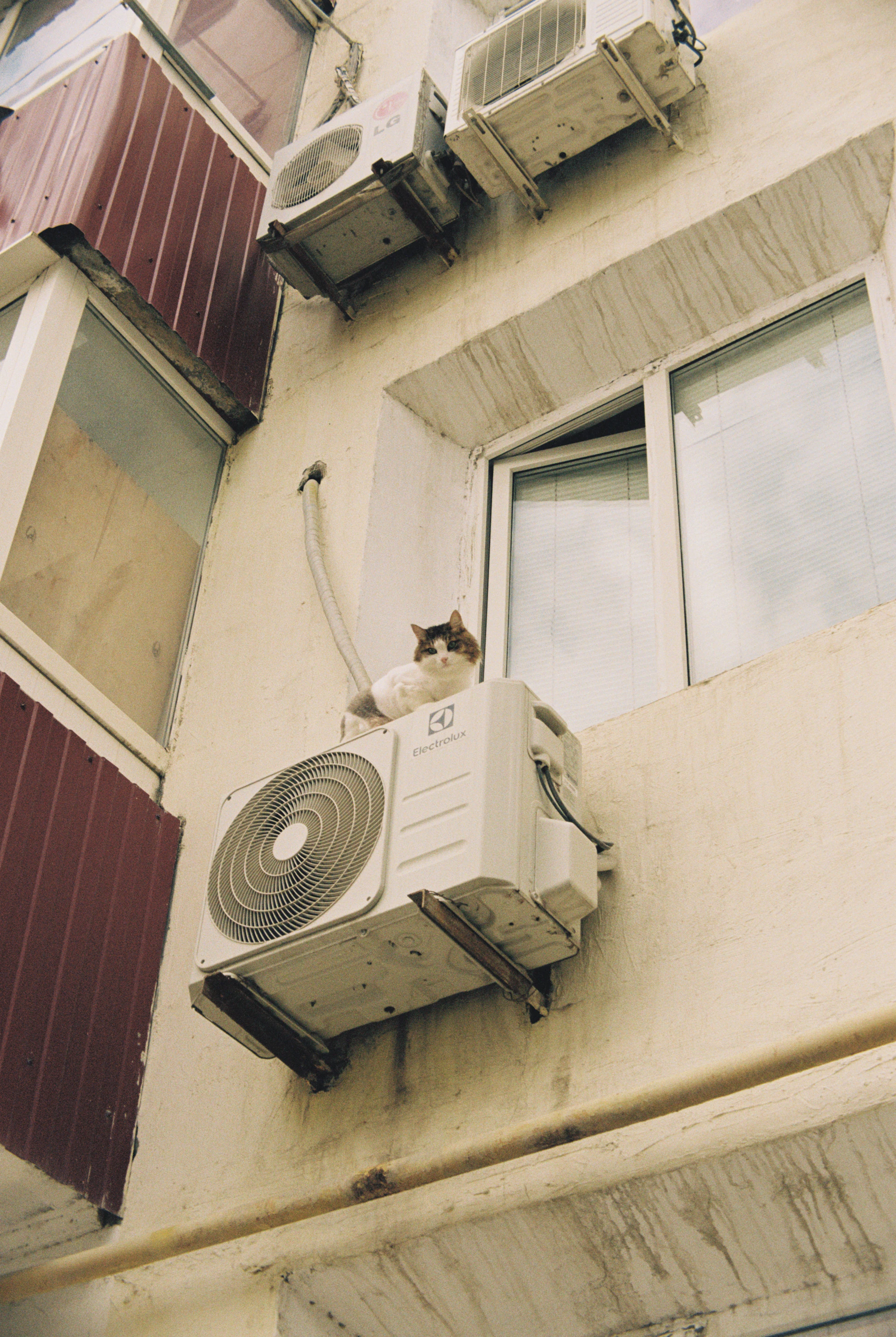 a cat that is sitting on a window sill