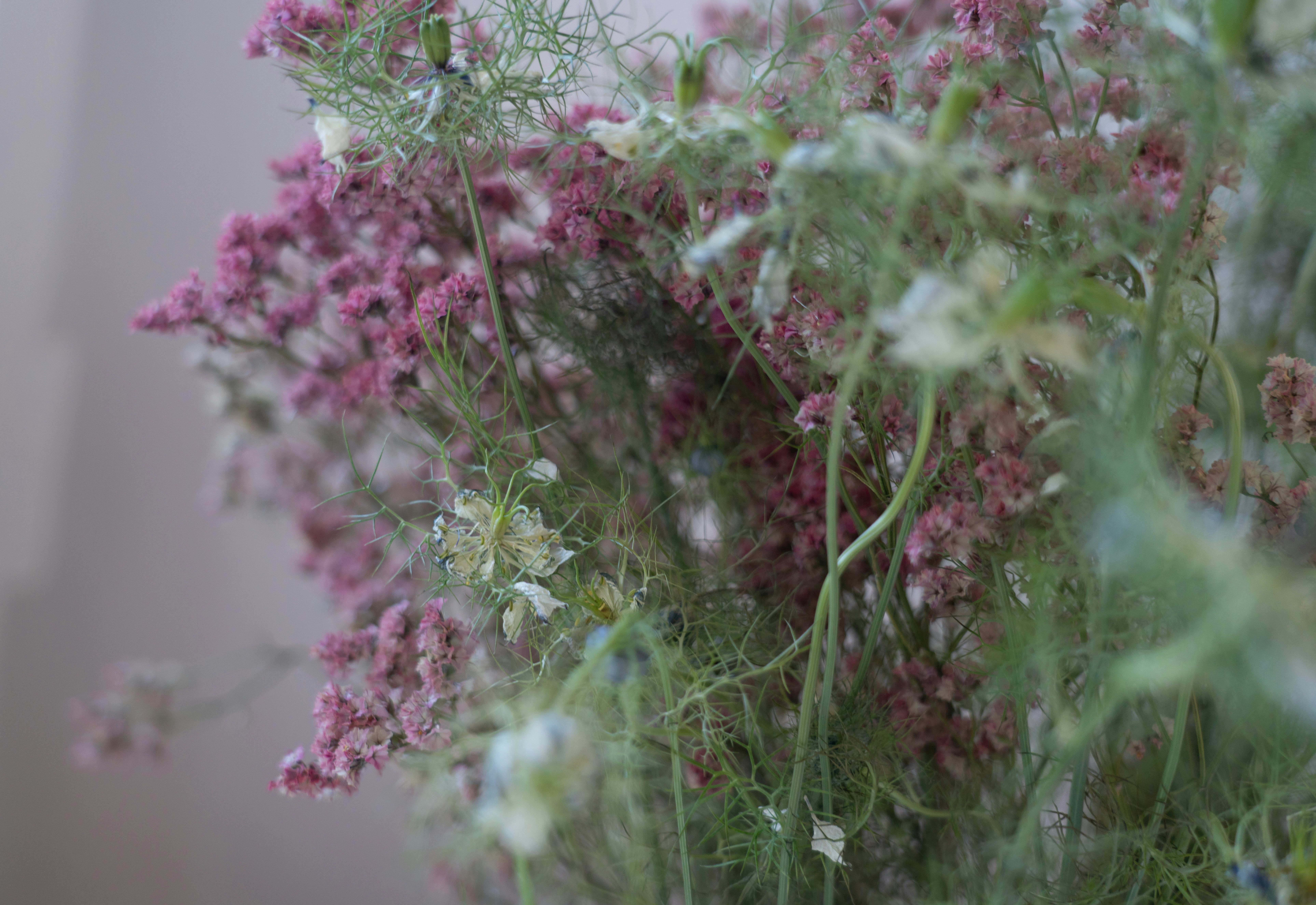 Photo by ggfotografie