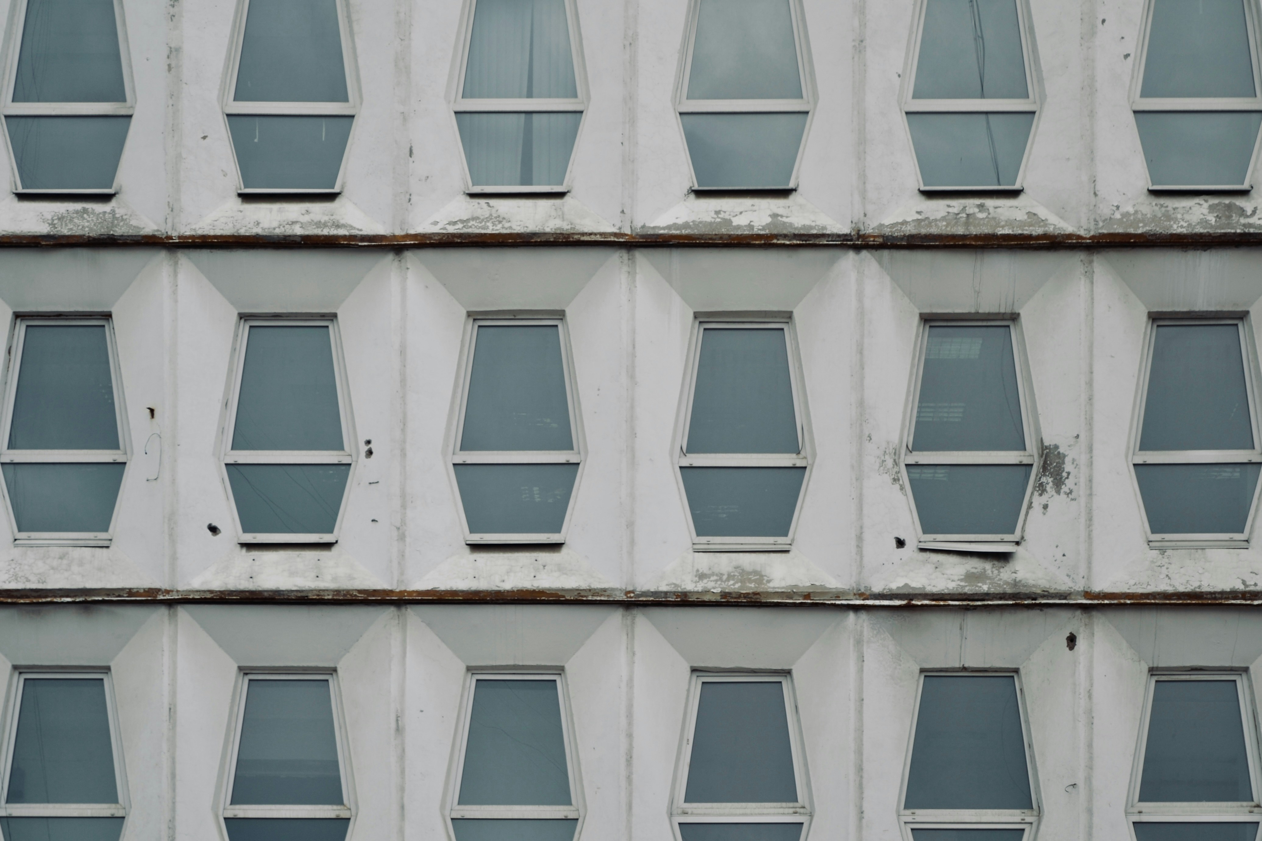 a white building with many windows and a bird sitting on the window sill