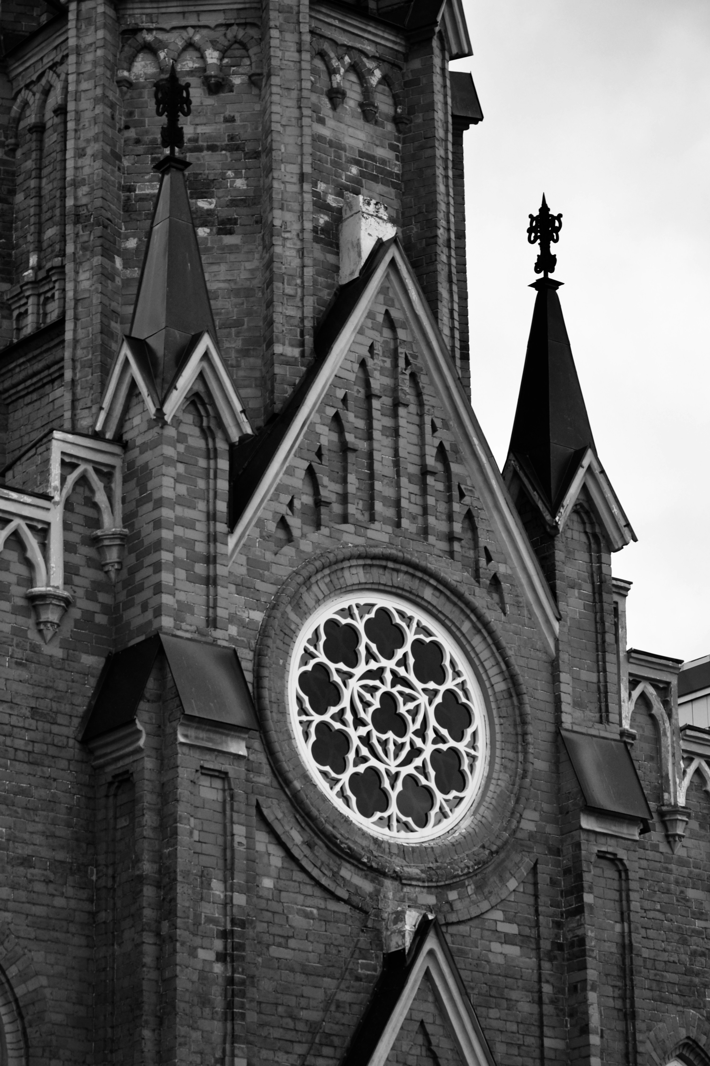 Photo by nastasya_slast