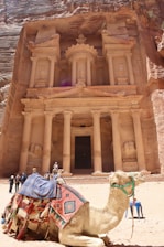 a camel is sitting in front of a building