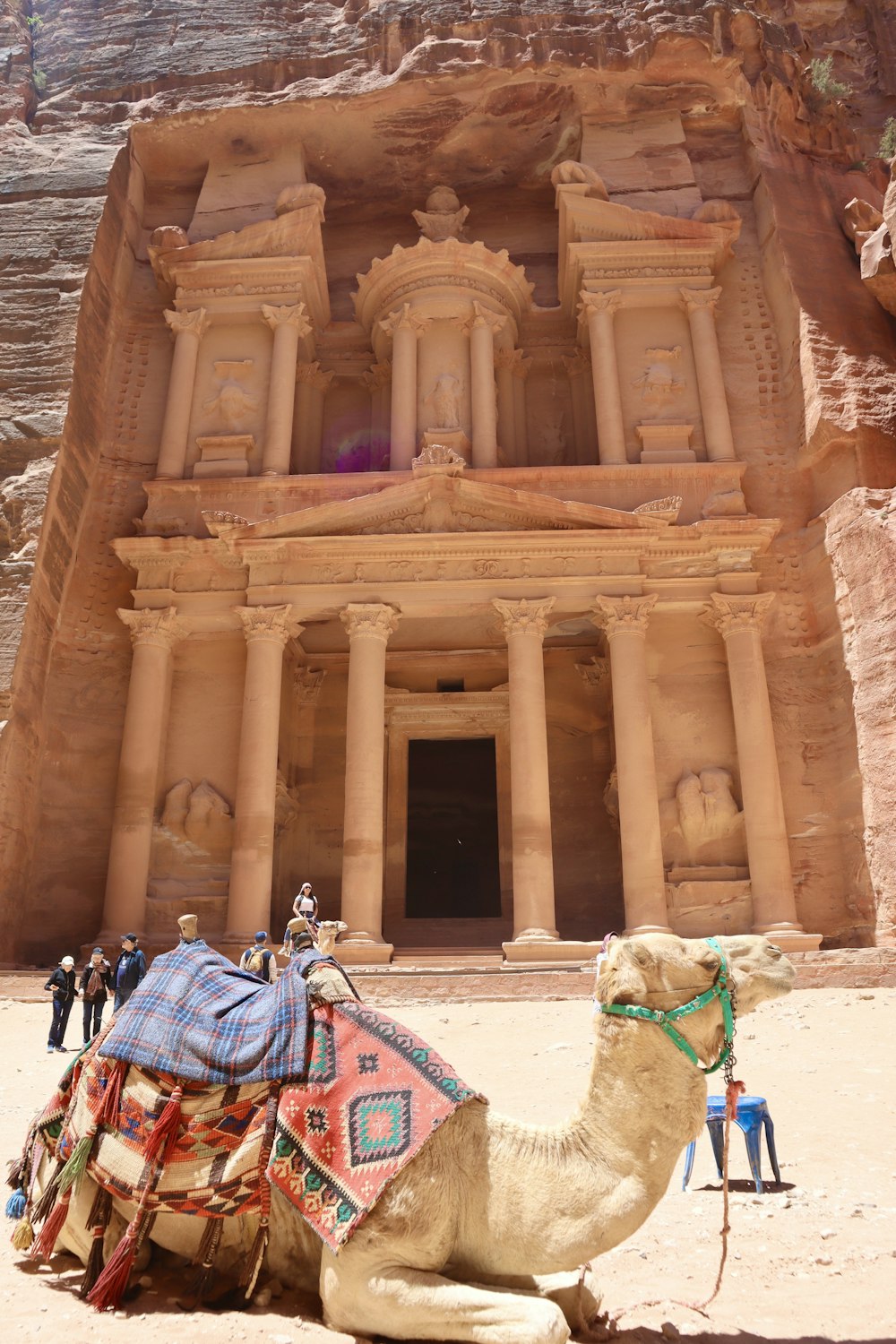 a camel is sitting in front of a building