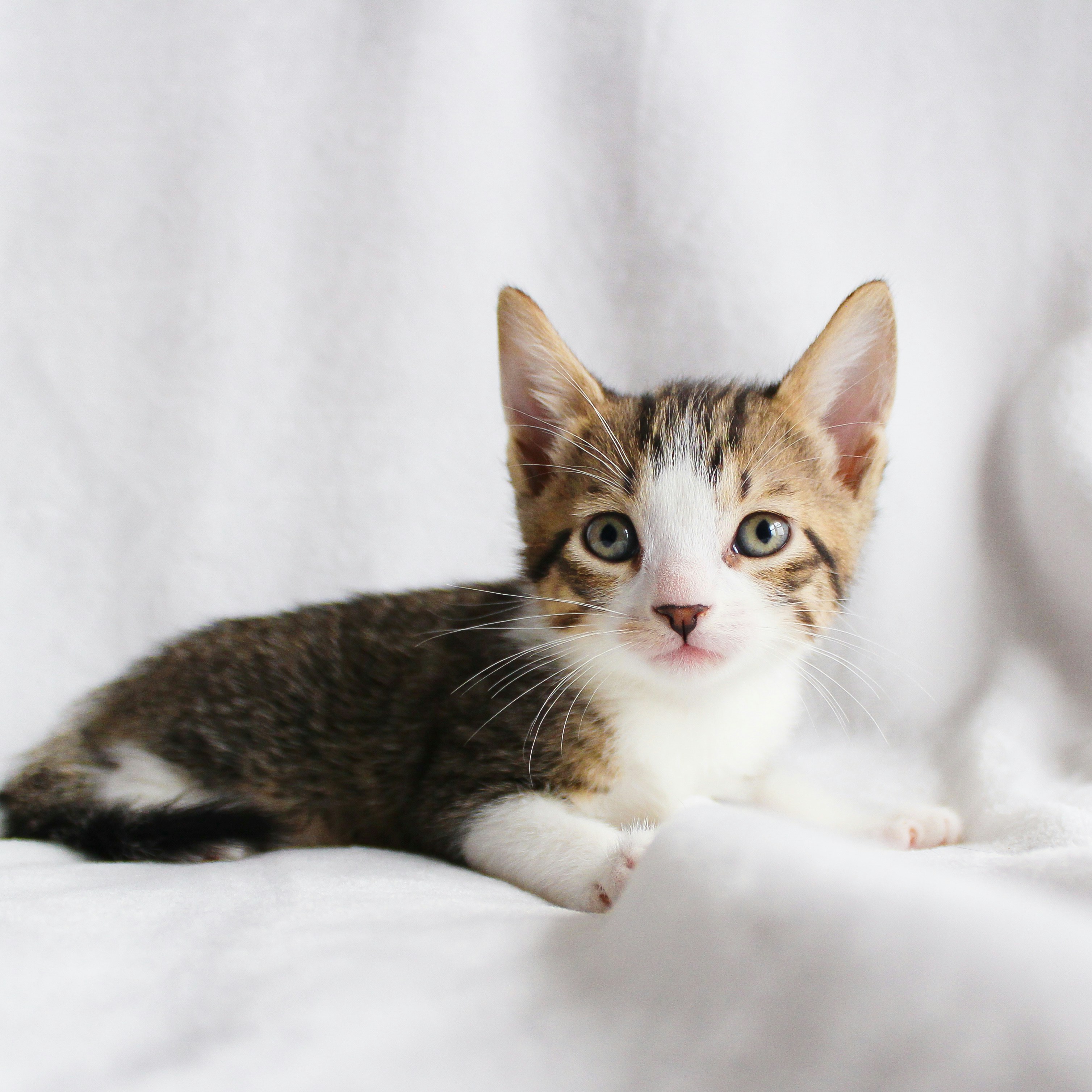 Photo by theluckyneko