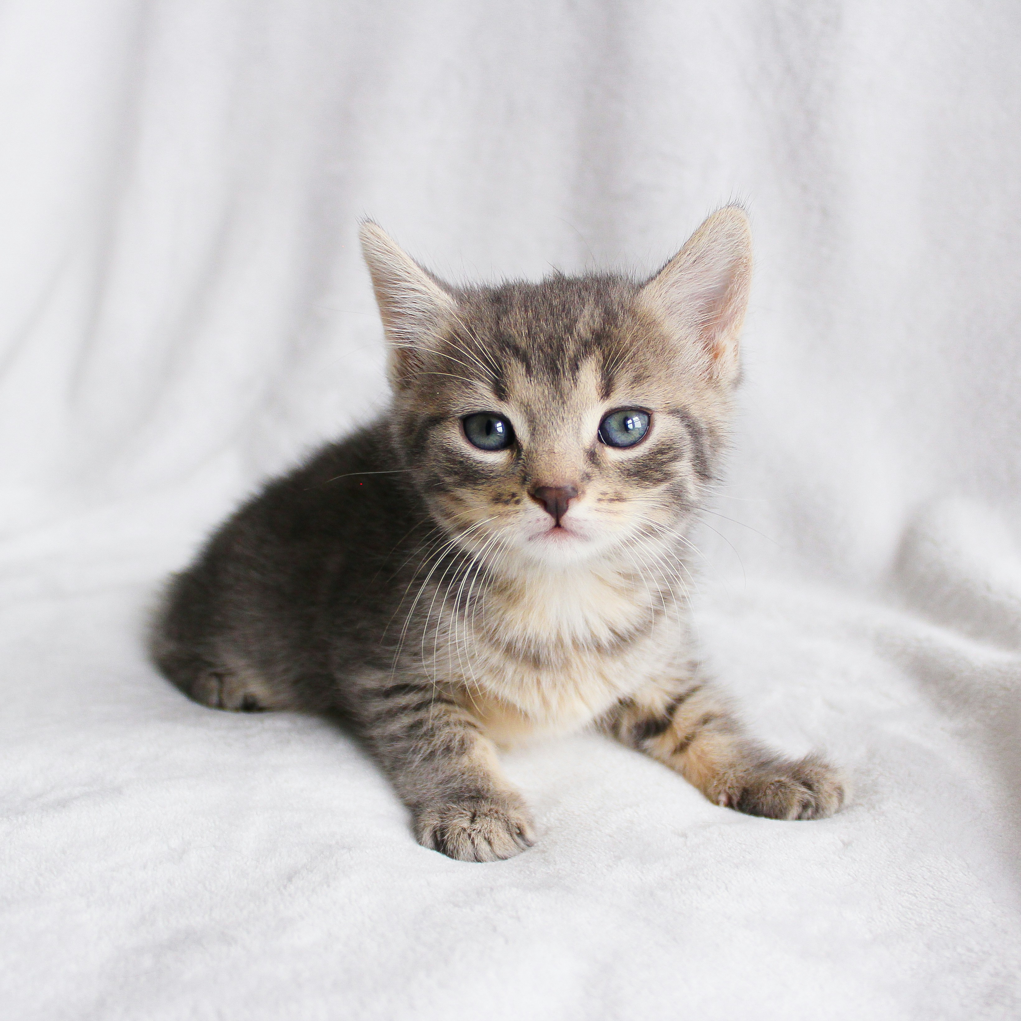 Photo by theluckyneko