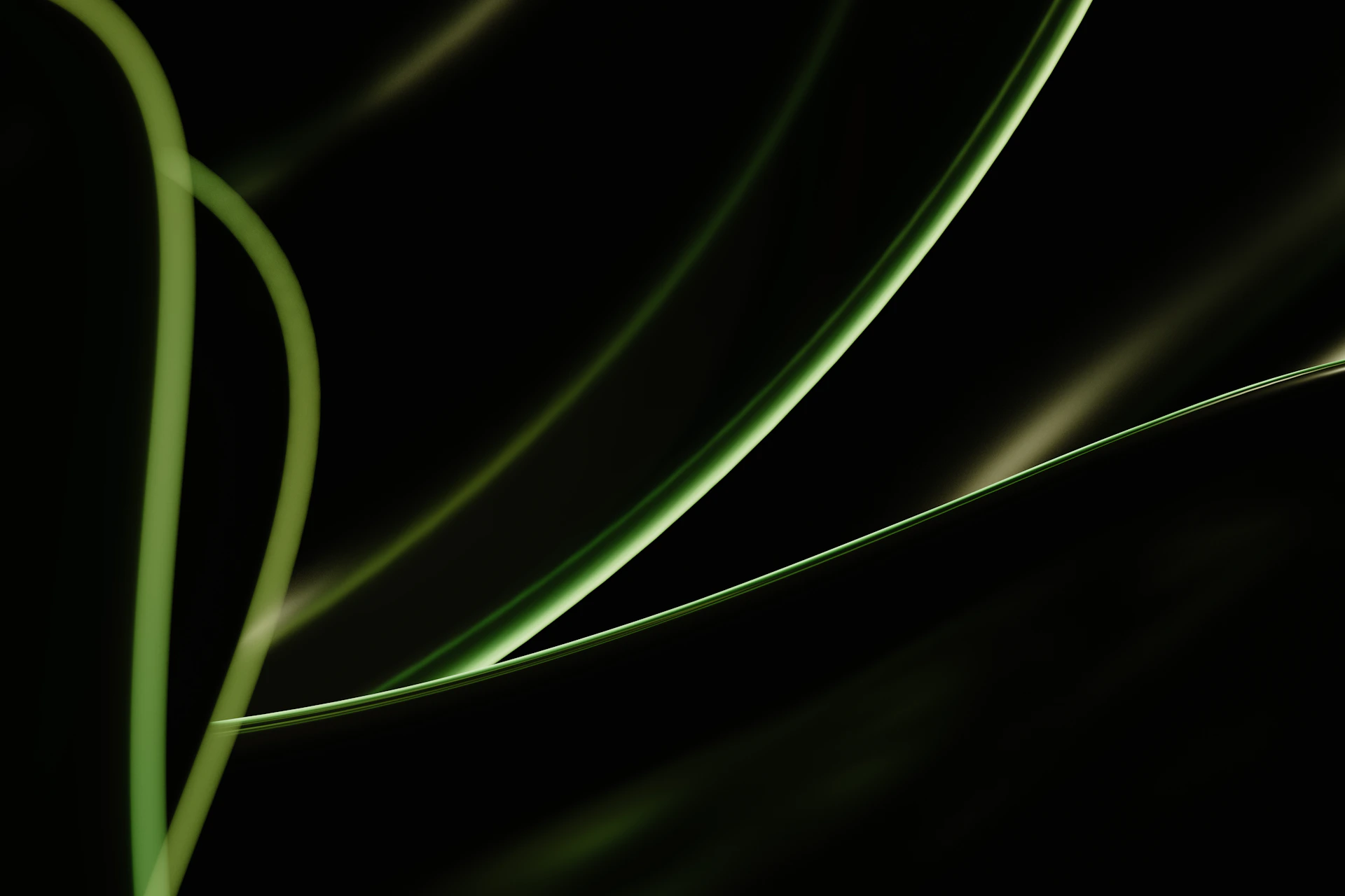 a close up of a green plant in the dark