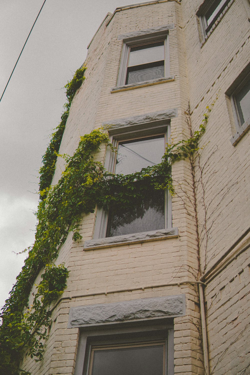 a tall brick building with ivy growing up the side of it