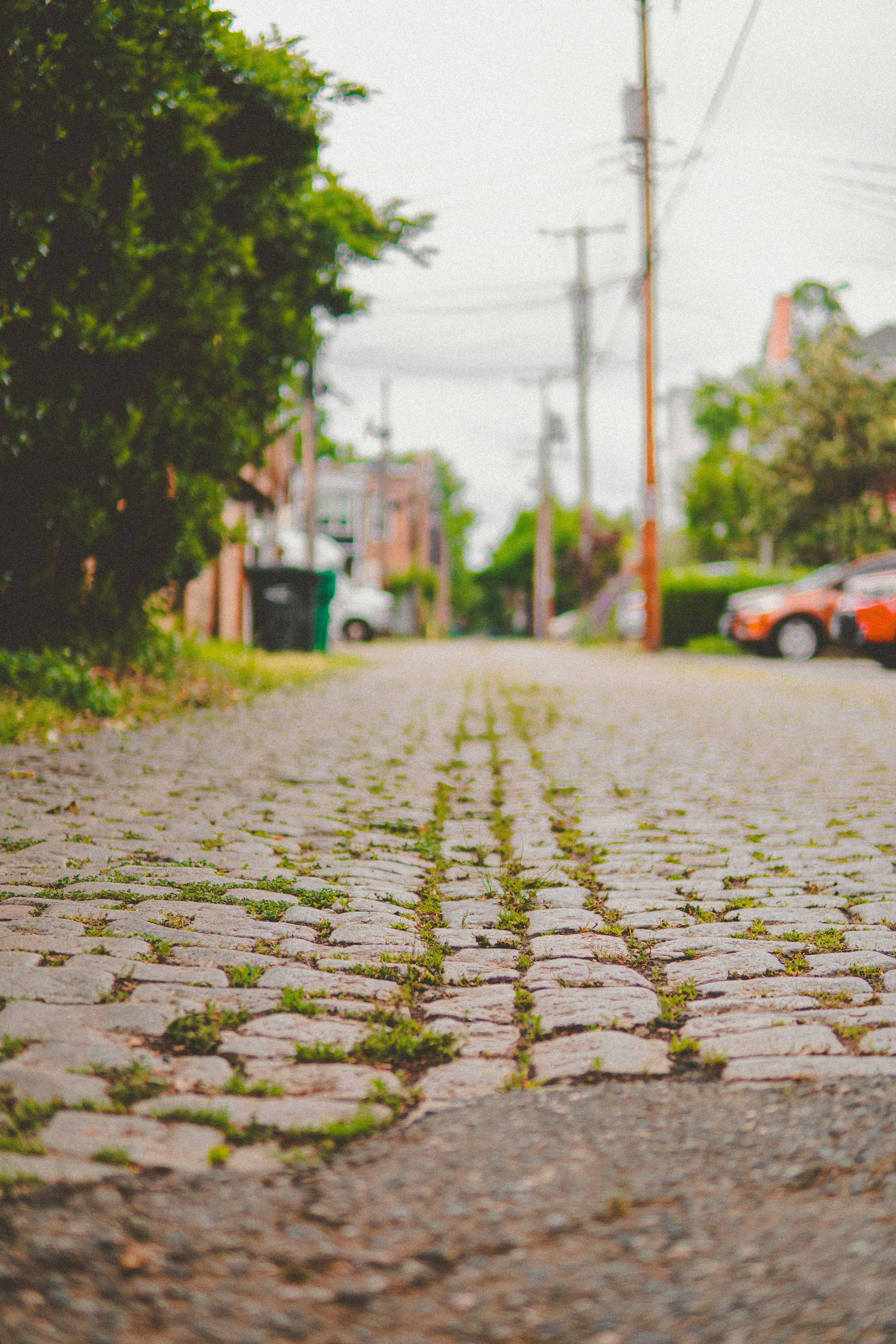 Photo by keepitchassephotography