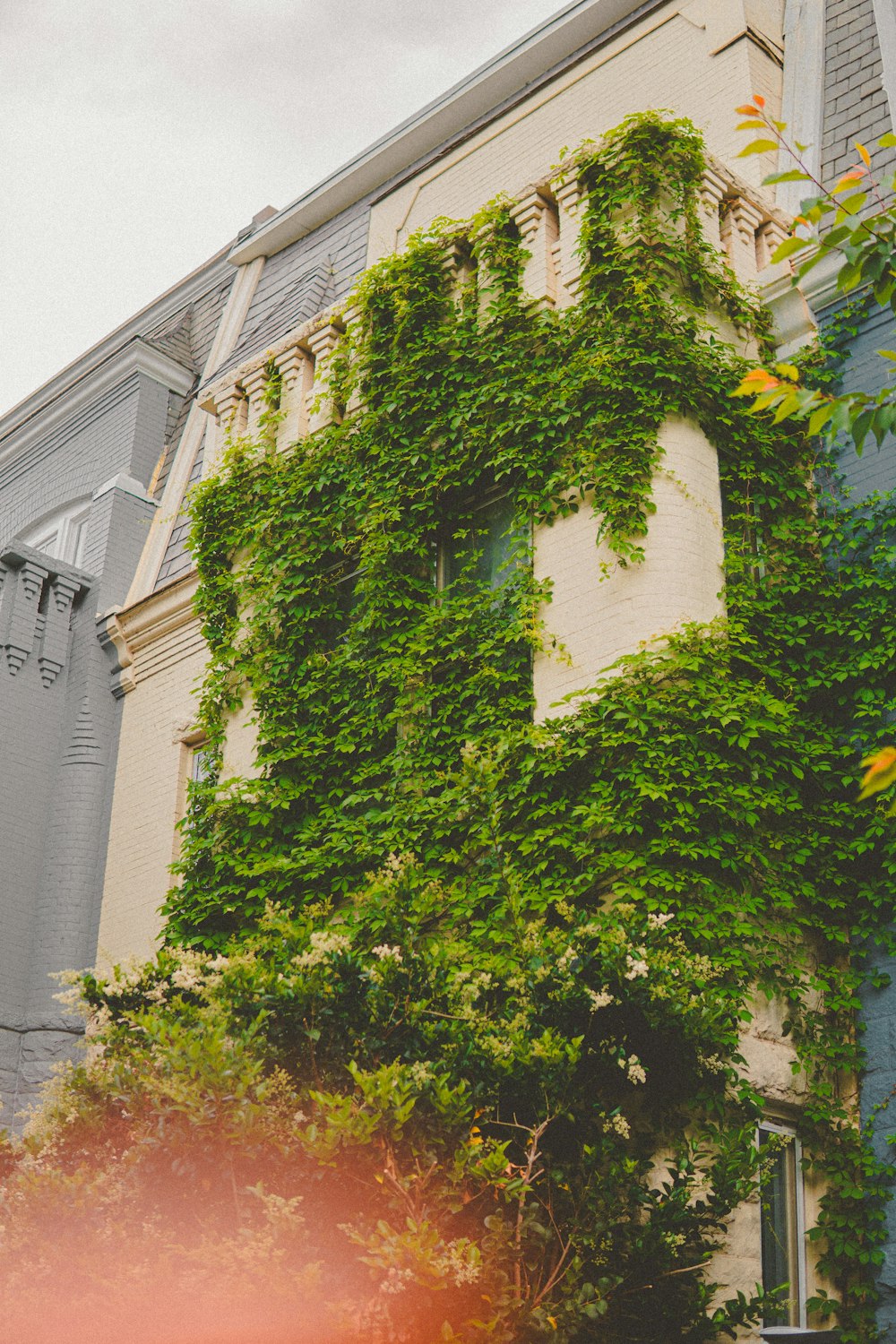 a building covered in vines with a clock tower in the background