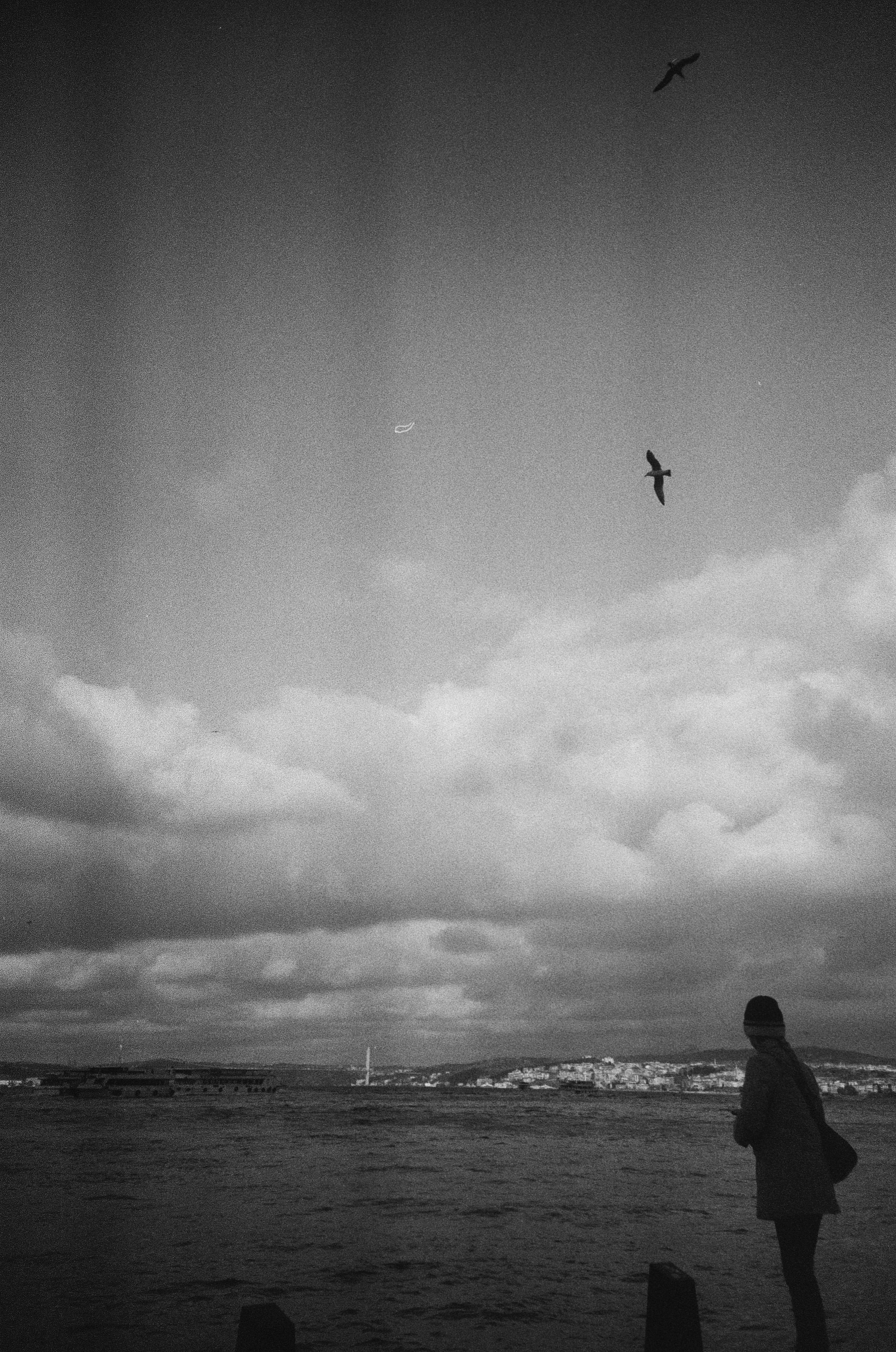 Photo by artyshena