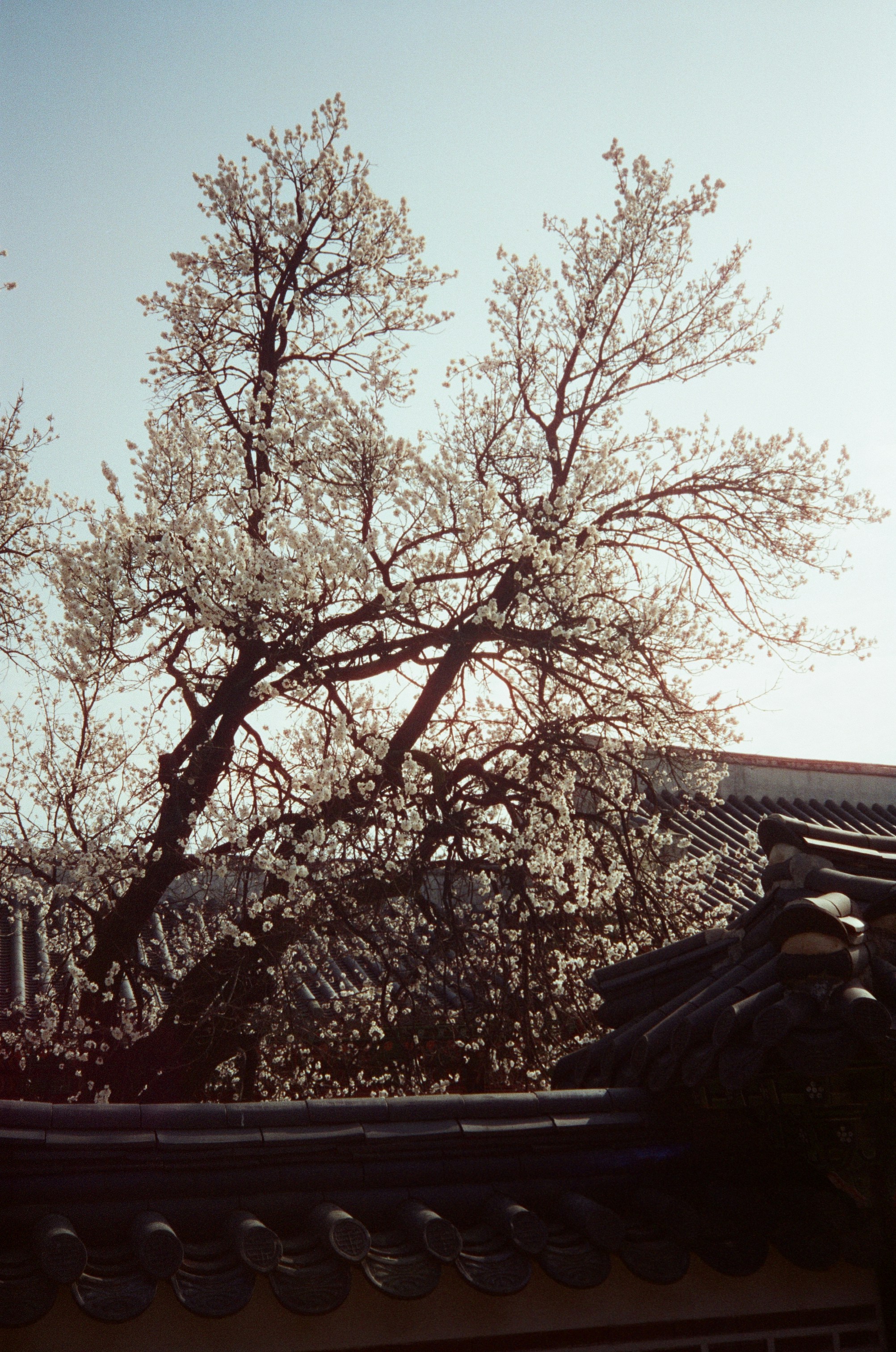Photo by artyshena