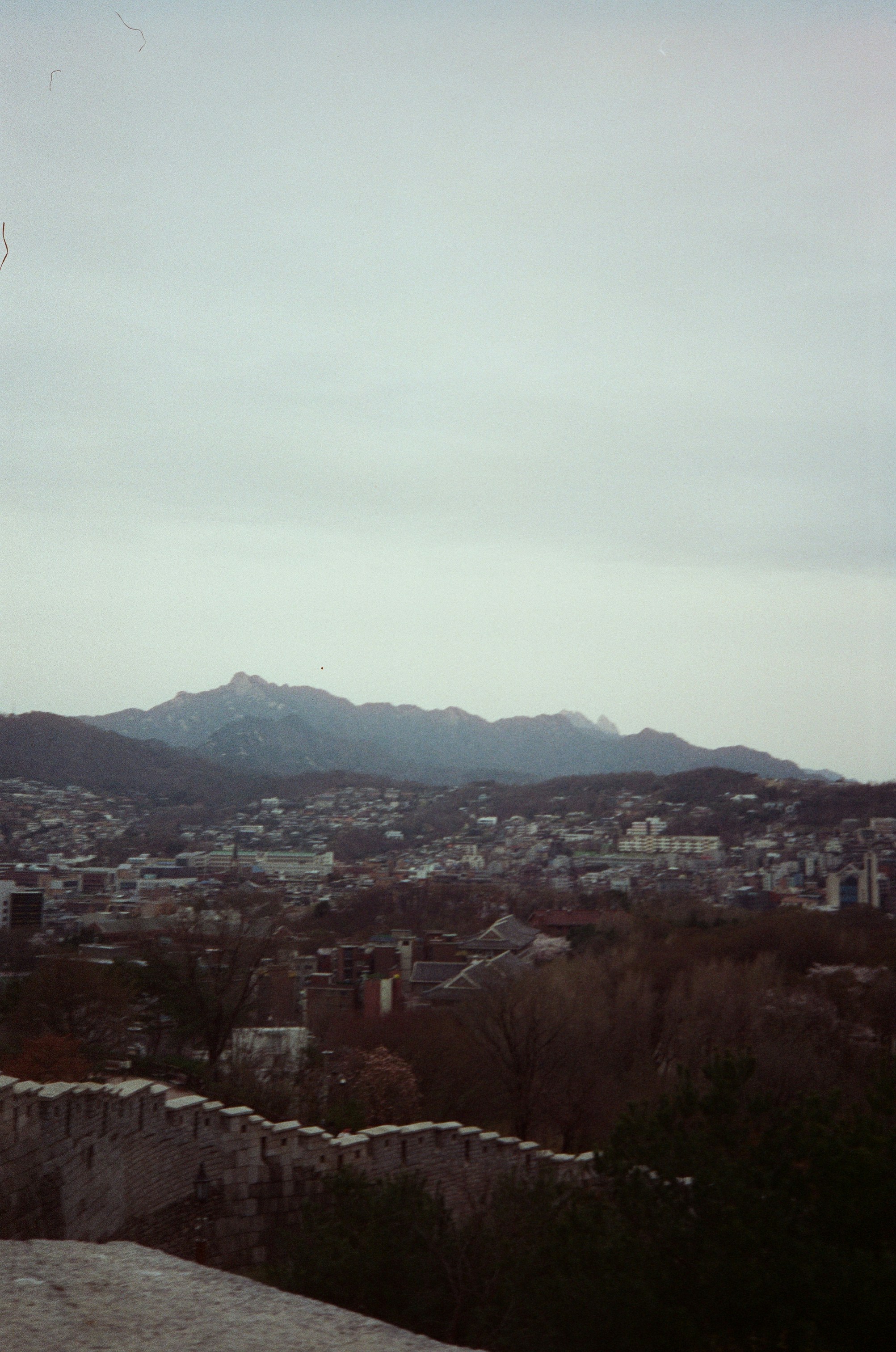 Photo by artyshena