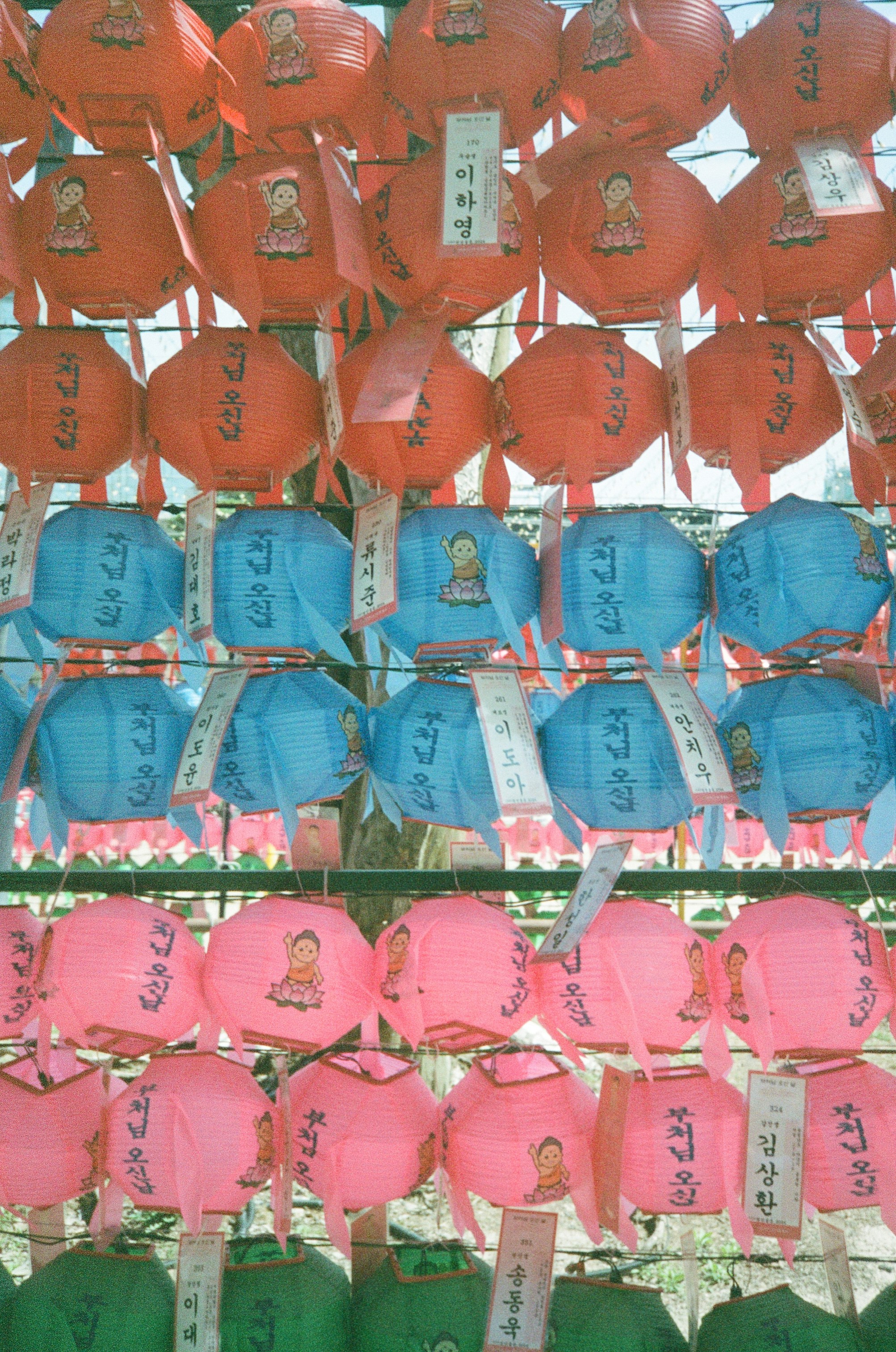 a bunch of pink and blue hats hanging on a rack