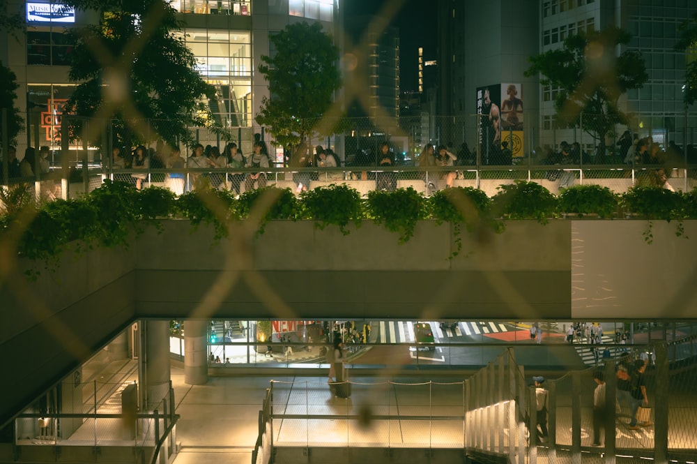 a group of people standing on a balcony at night