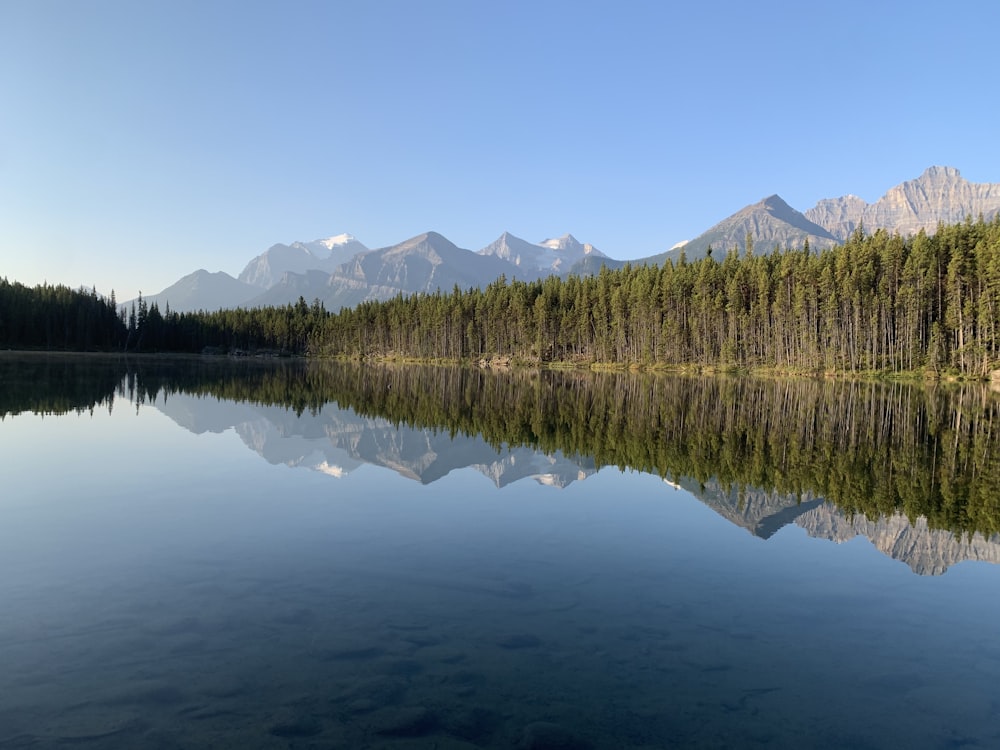 a lake surrounded by a forest with mountains in the background