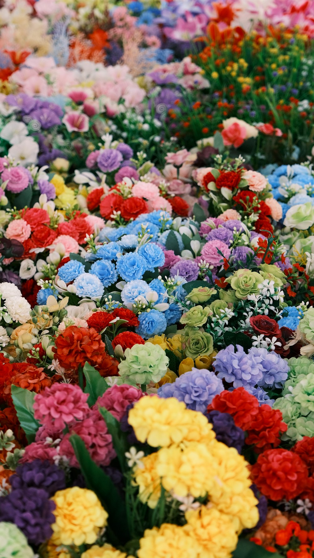 a bunch of flowers that are in a field