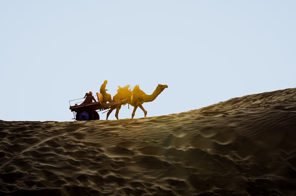 a couple of people riding a camel across a desert