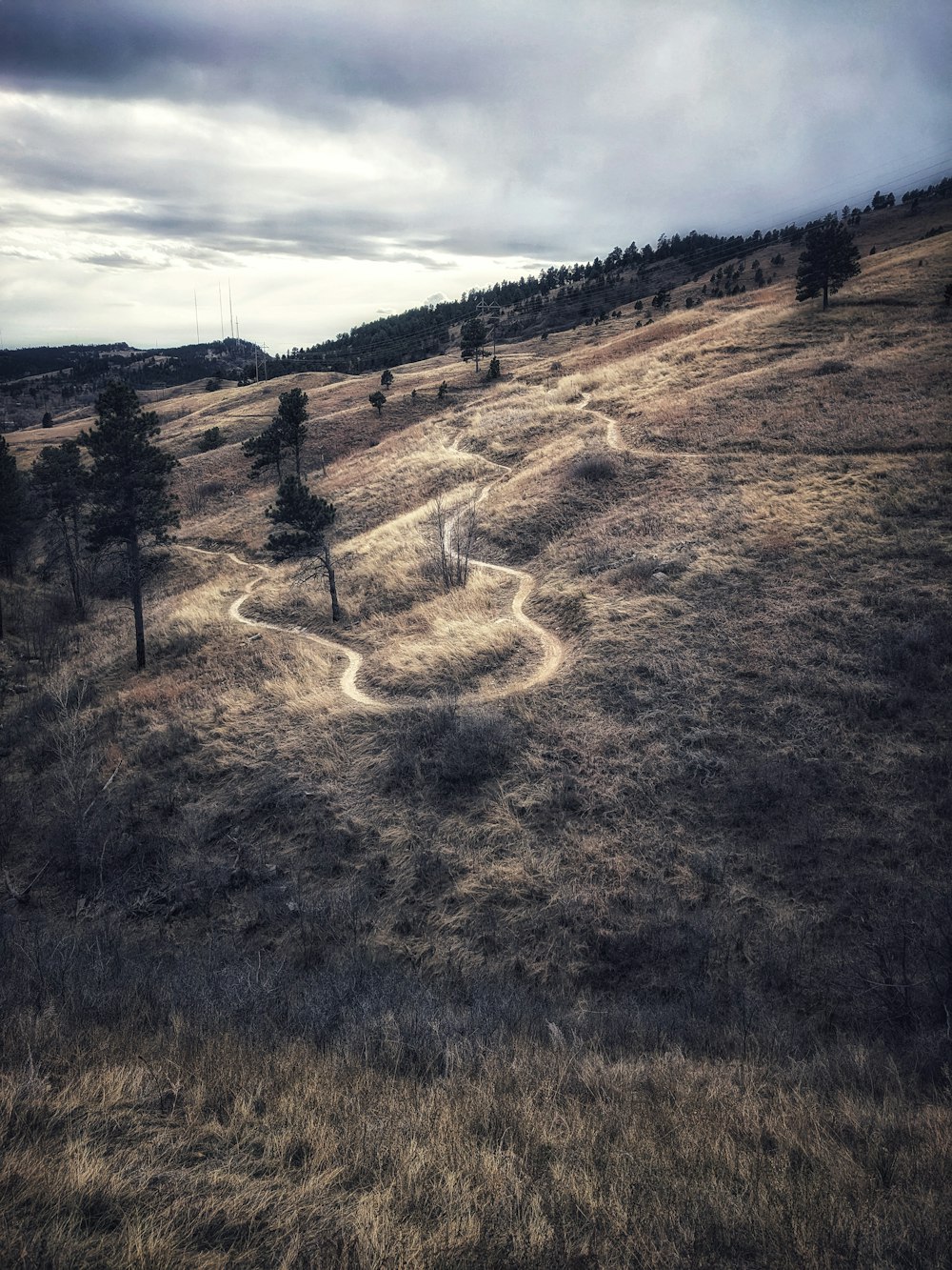 a dirt road in the middle of a field